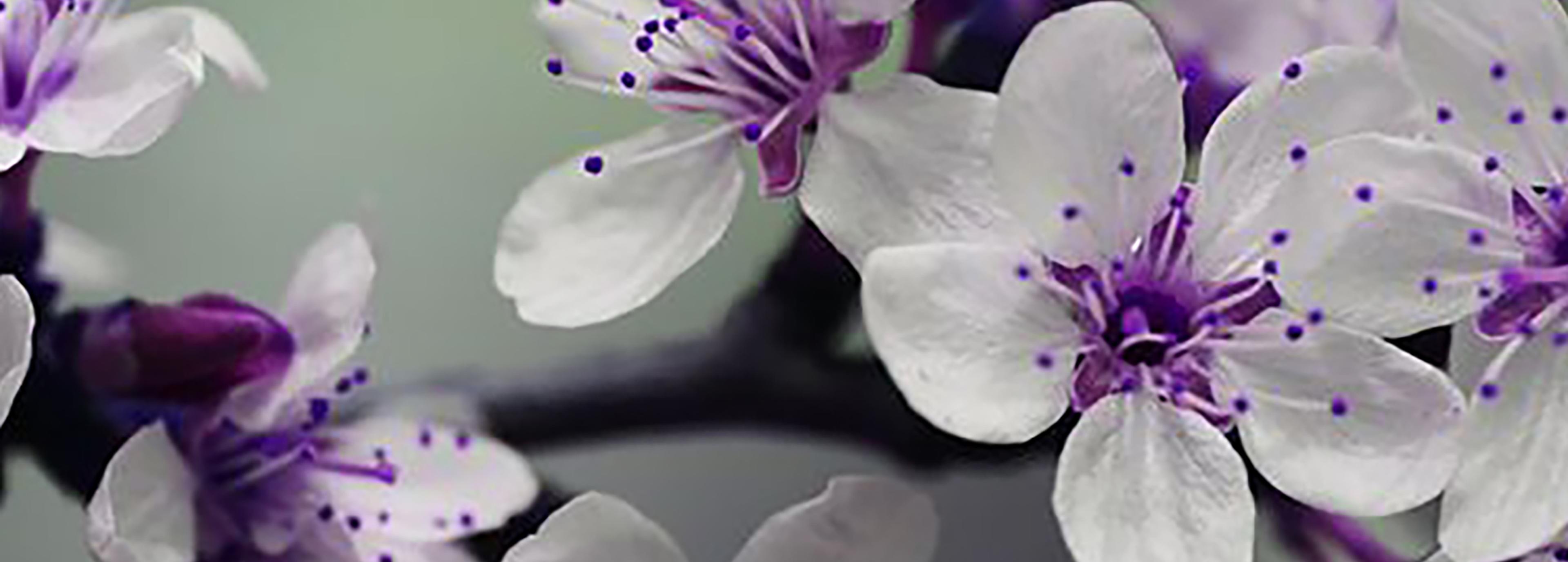 Shop cover image