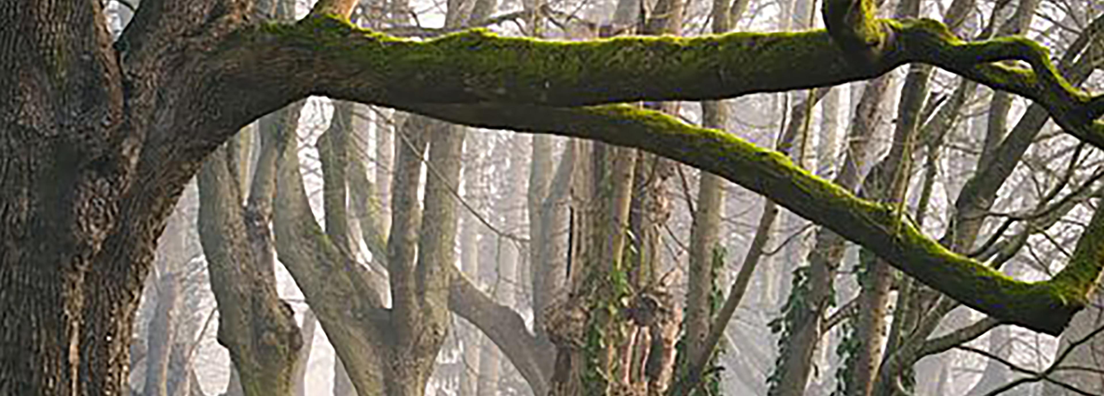 Shop cover image