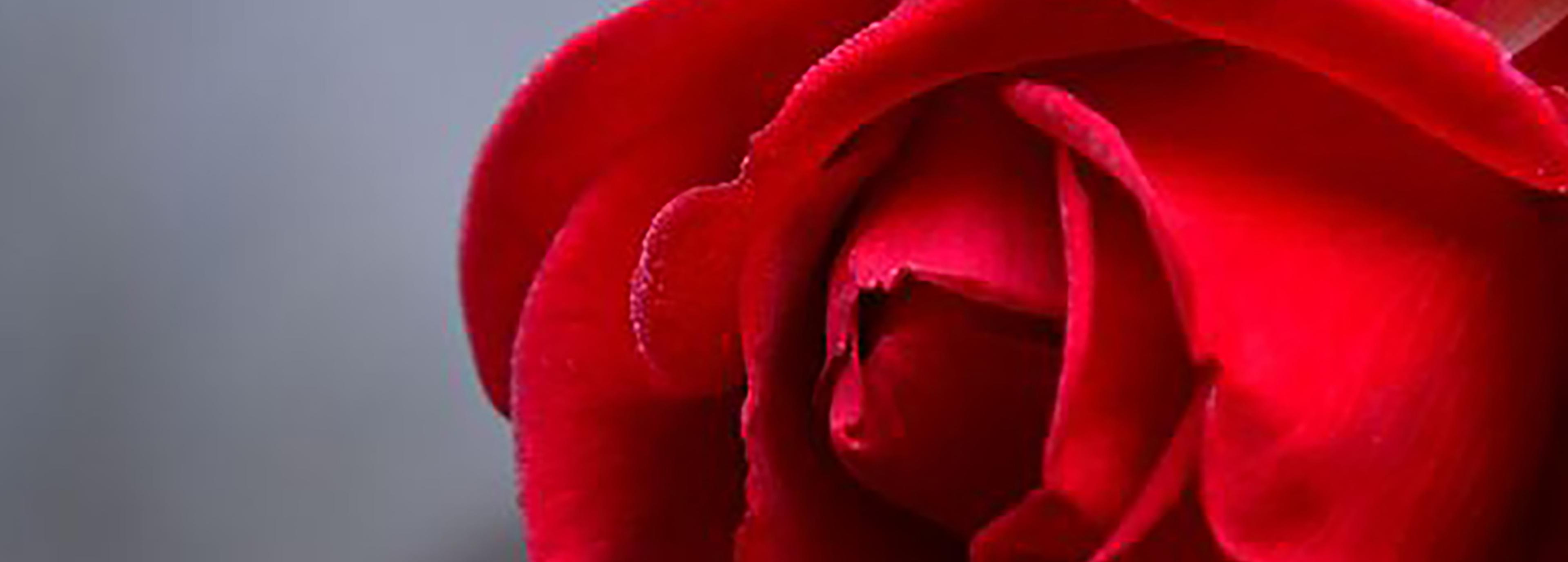 Shop cover image