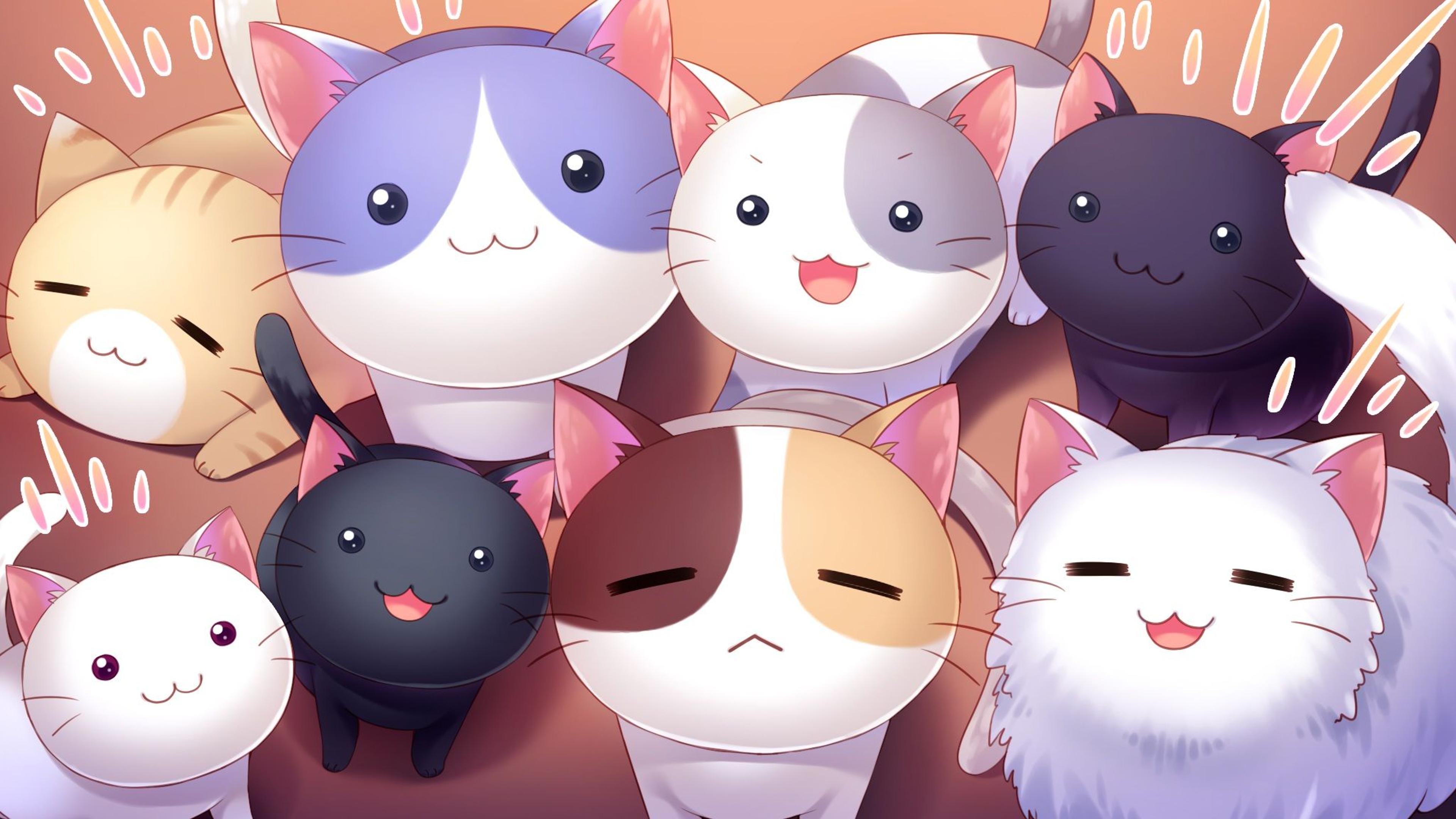 Shop cover image