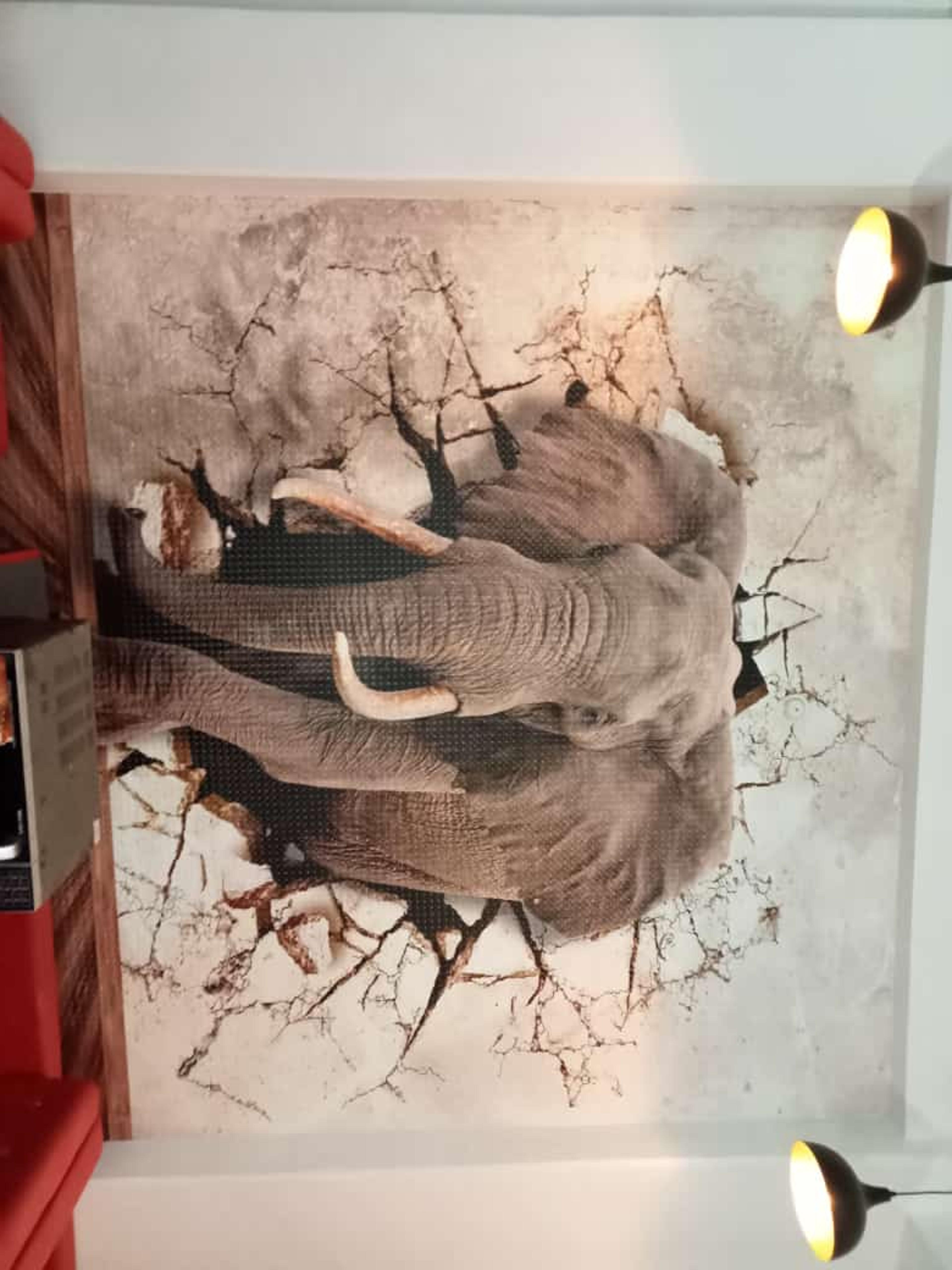 Shop cover image