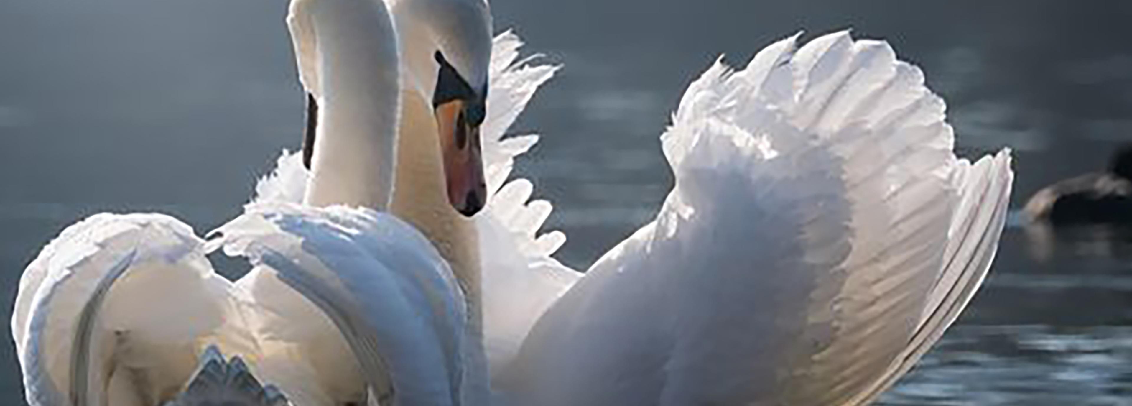 Shop cover image