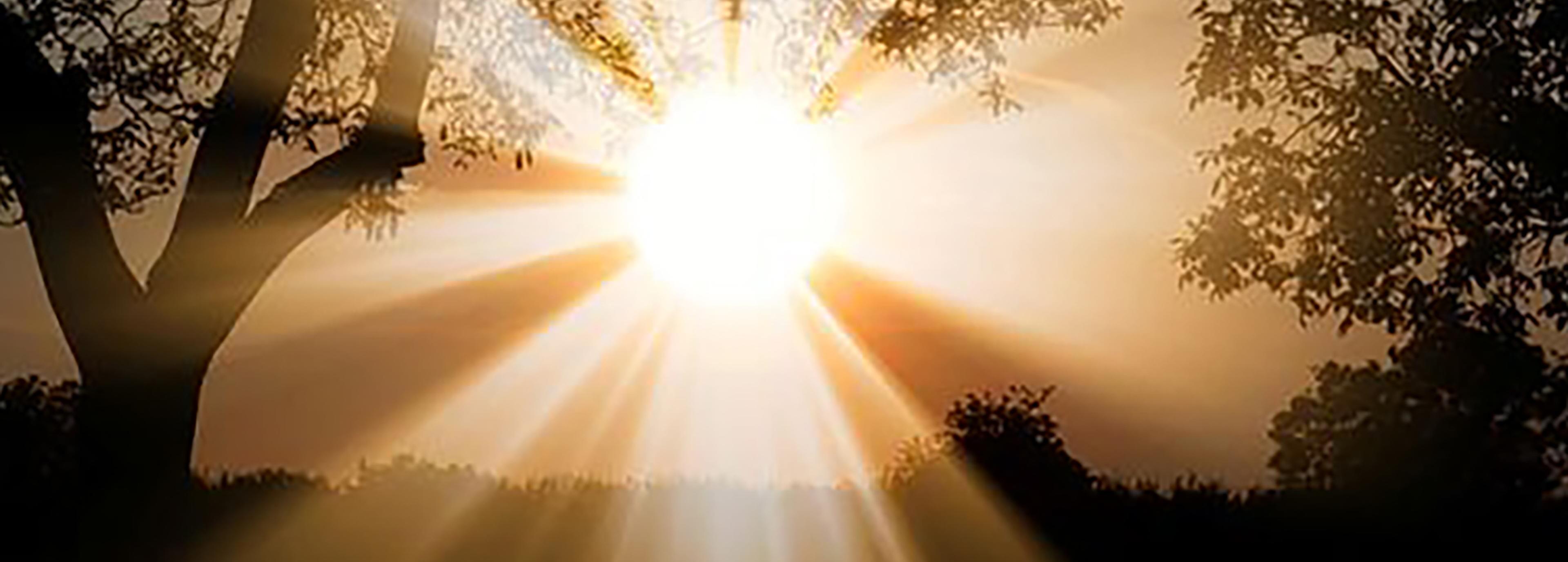 Shop cover image
