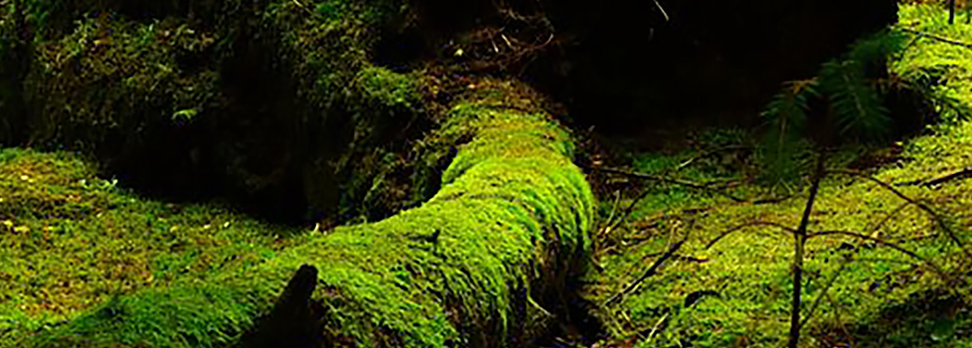 Shop cover image