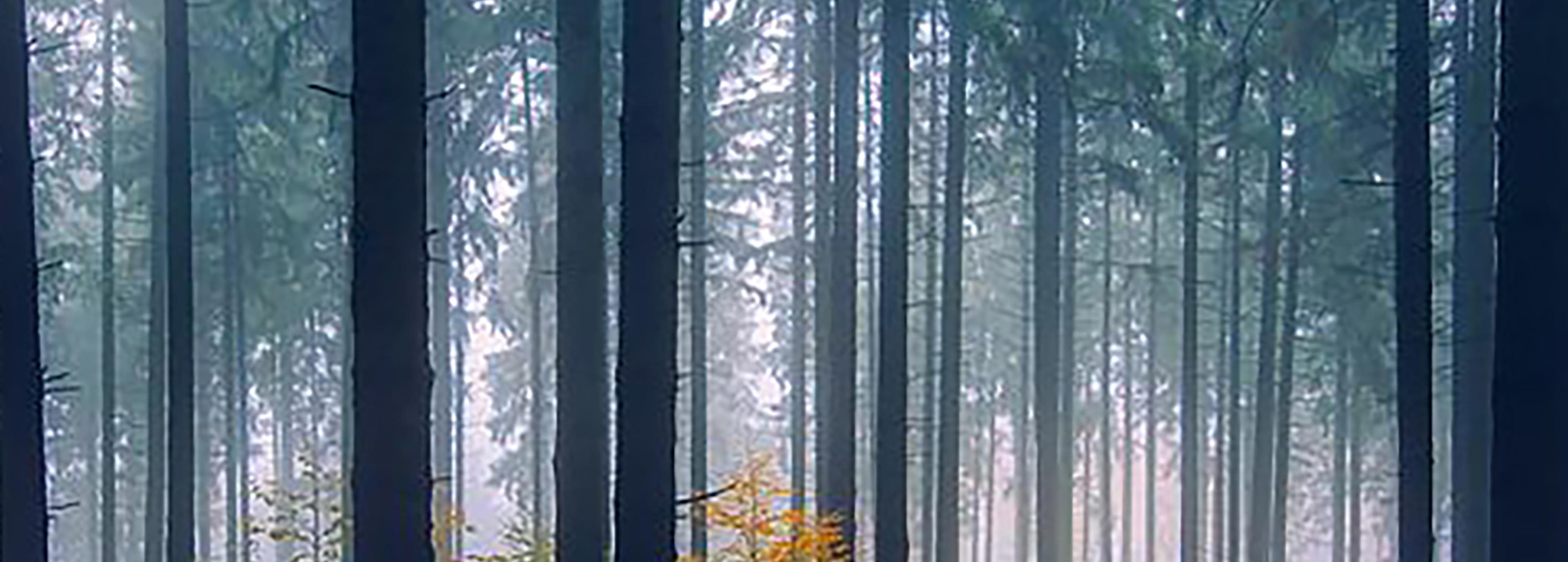 Shop cover image