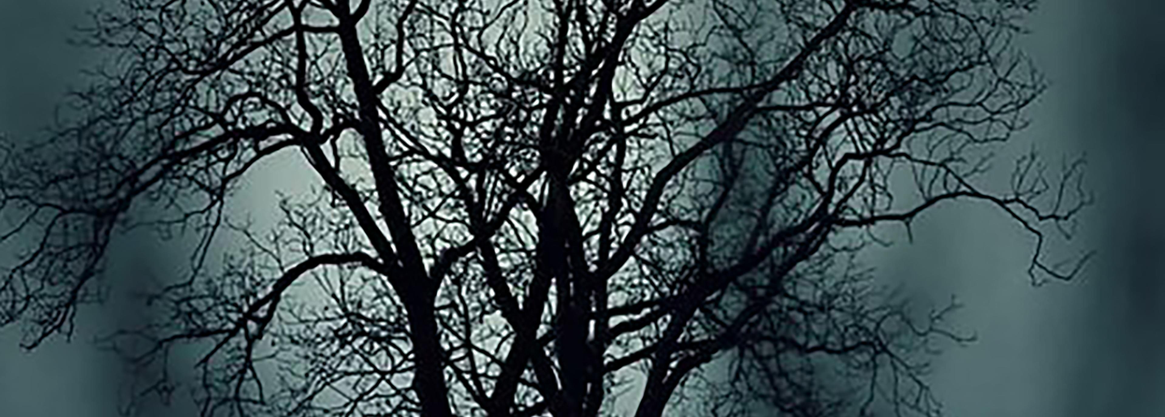 Shop cover image