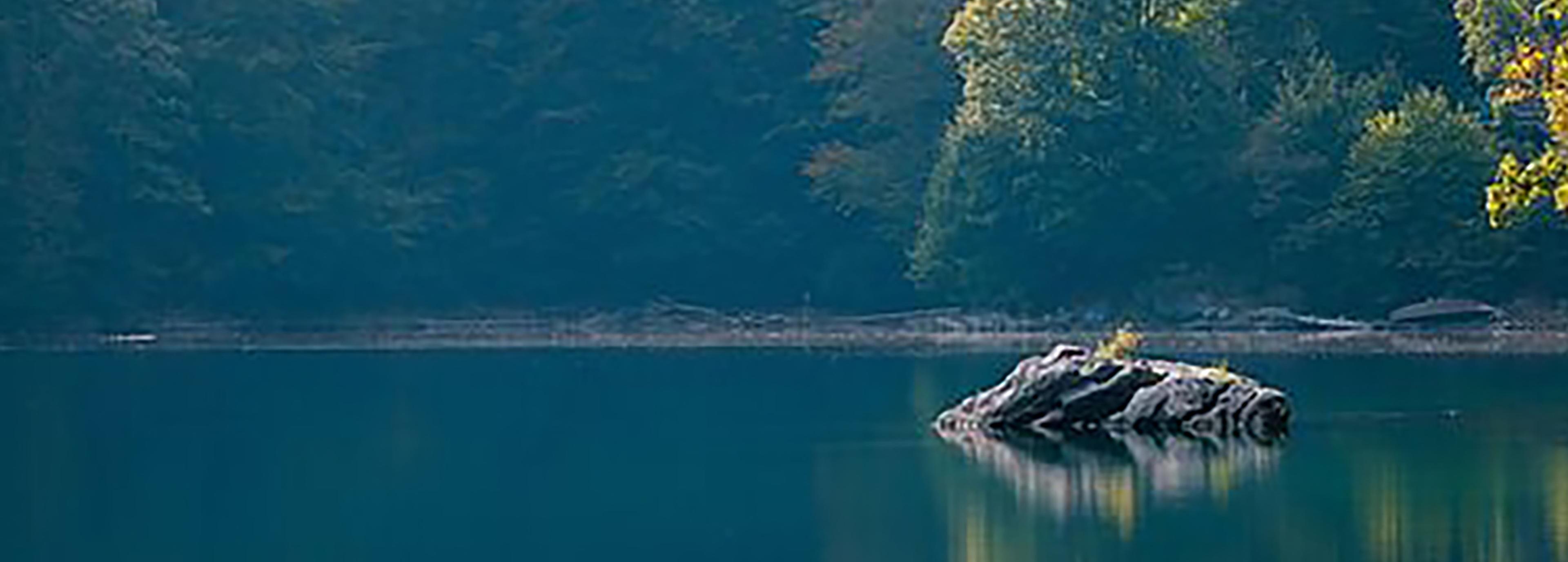 Shop cover image
