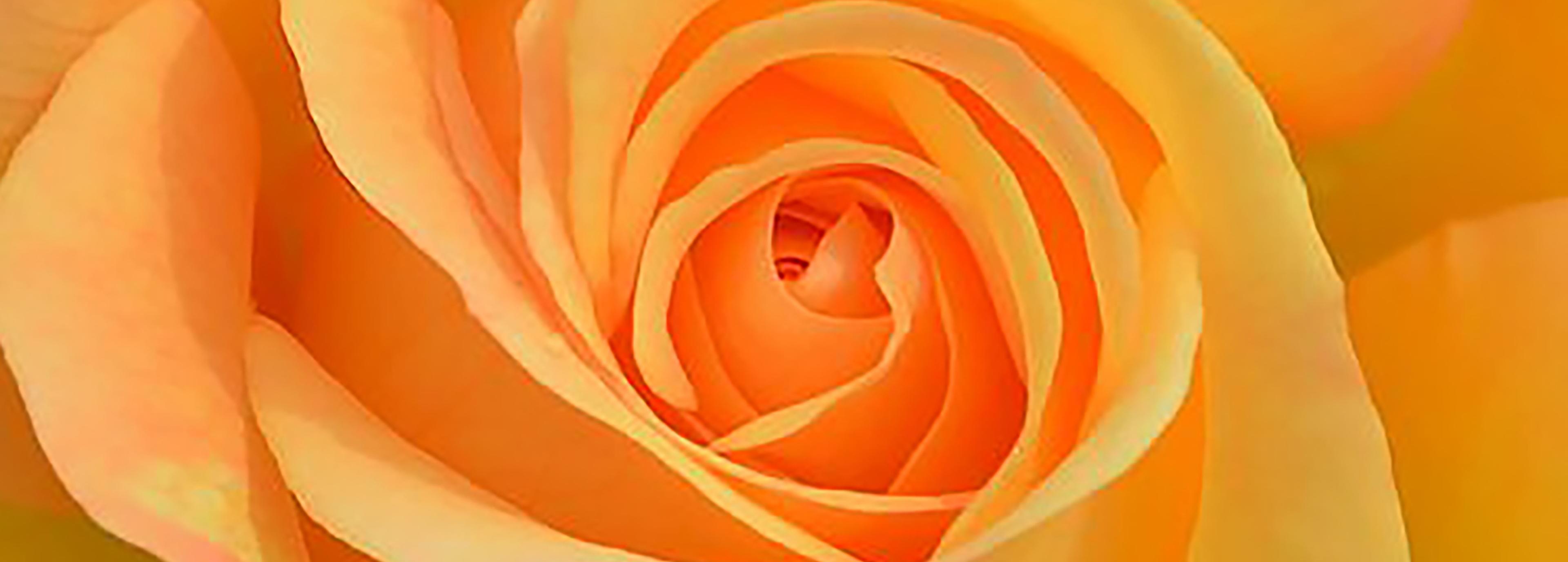 Shop cover image