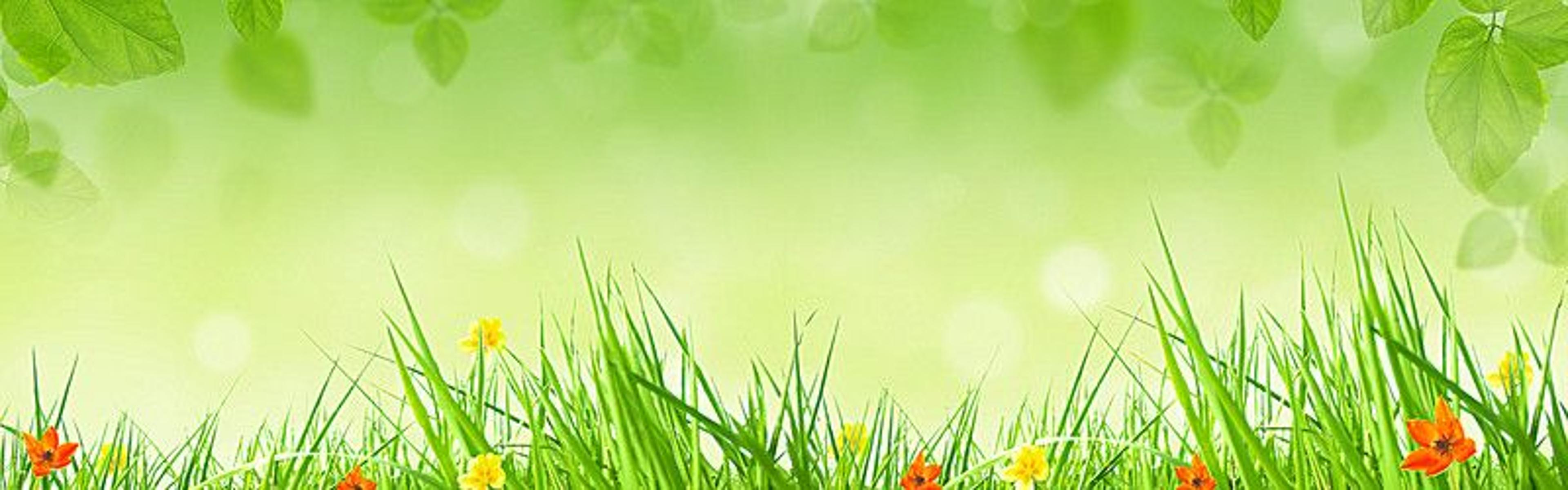 Shop cover image