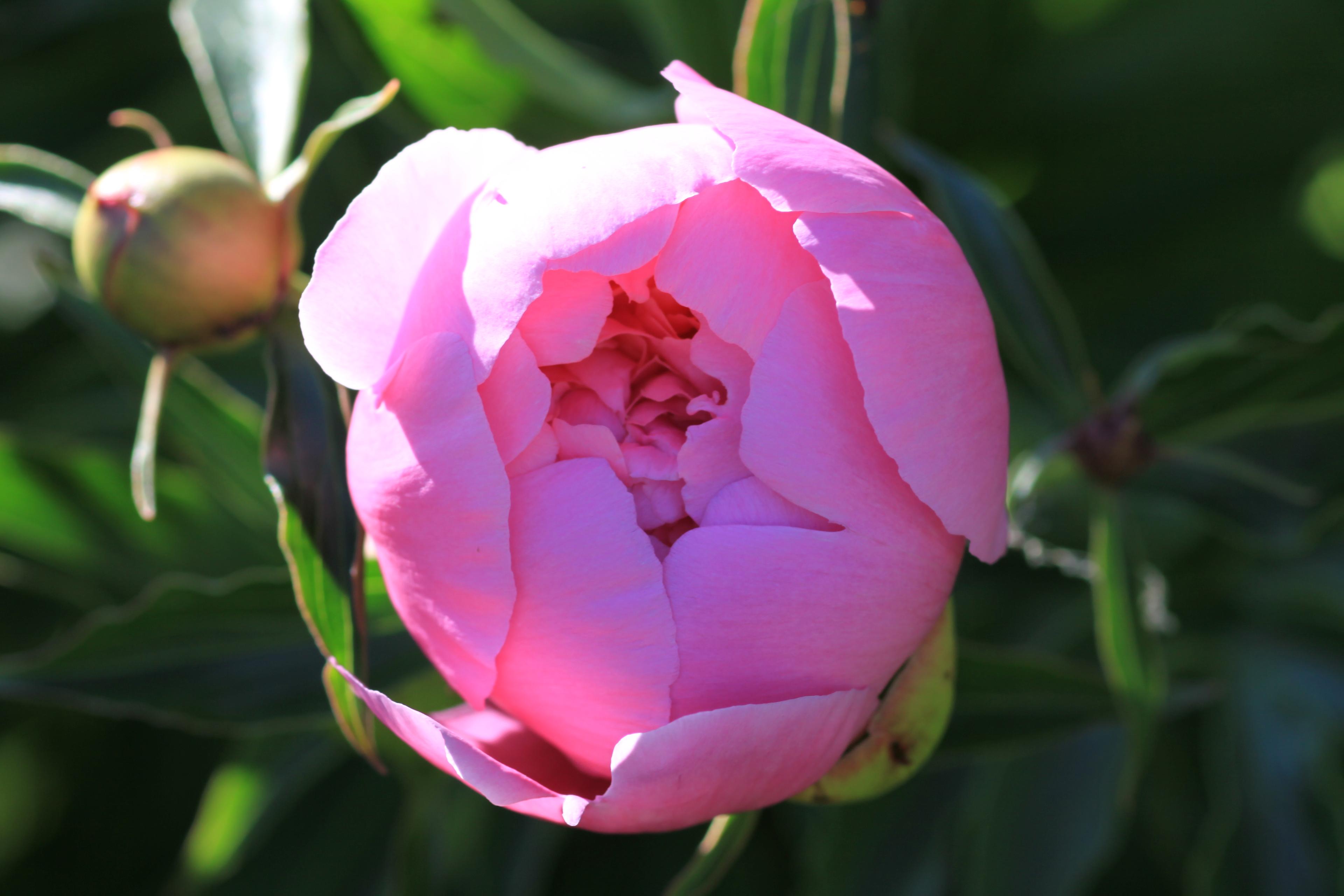 Shop cover image