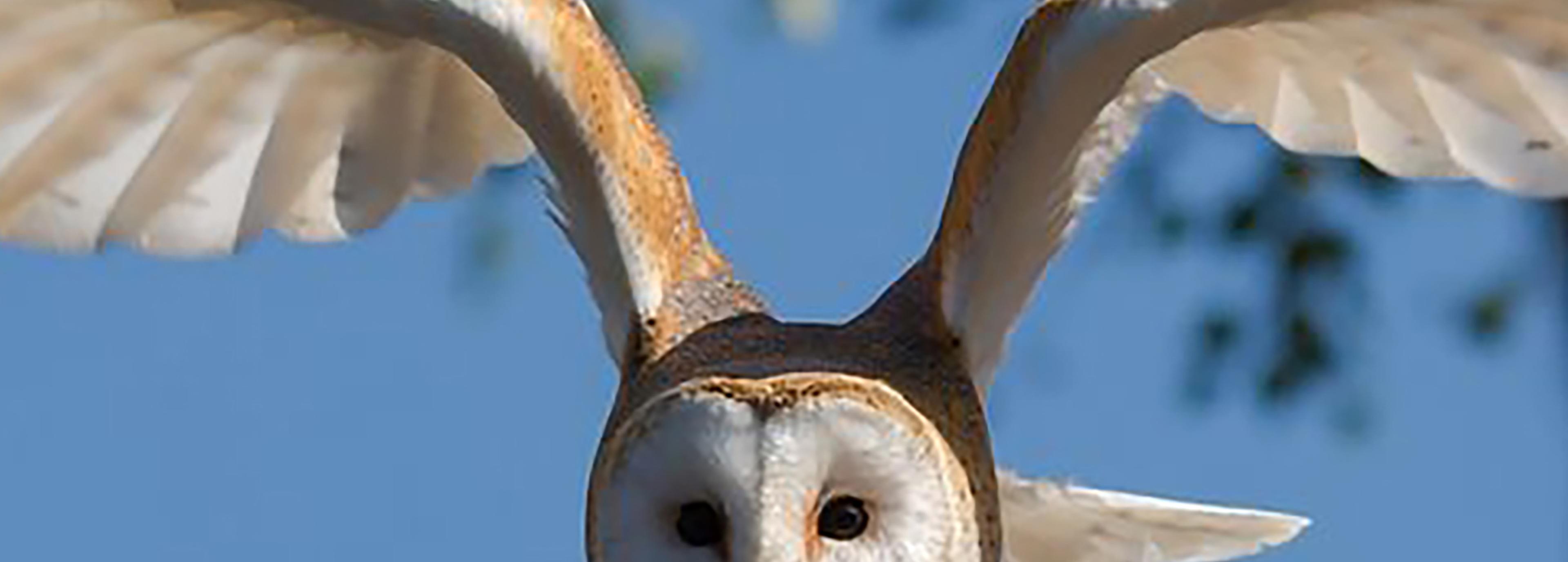 Shop cover image