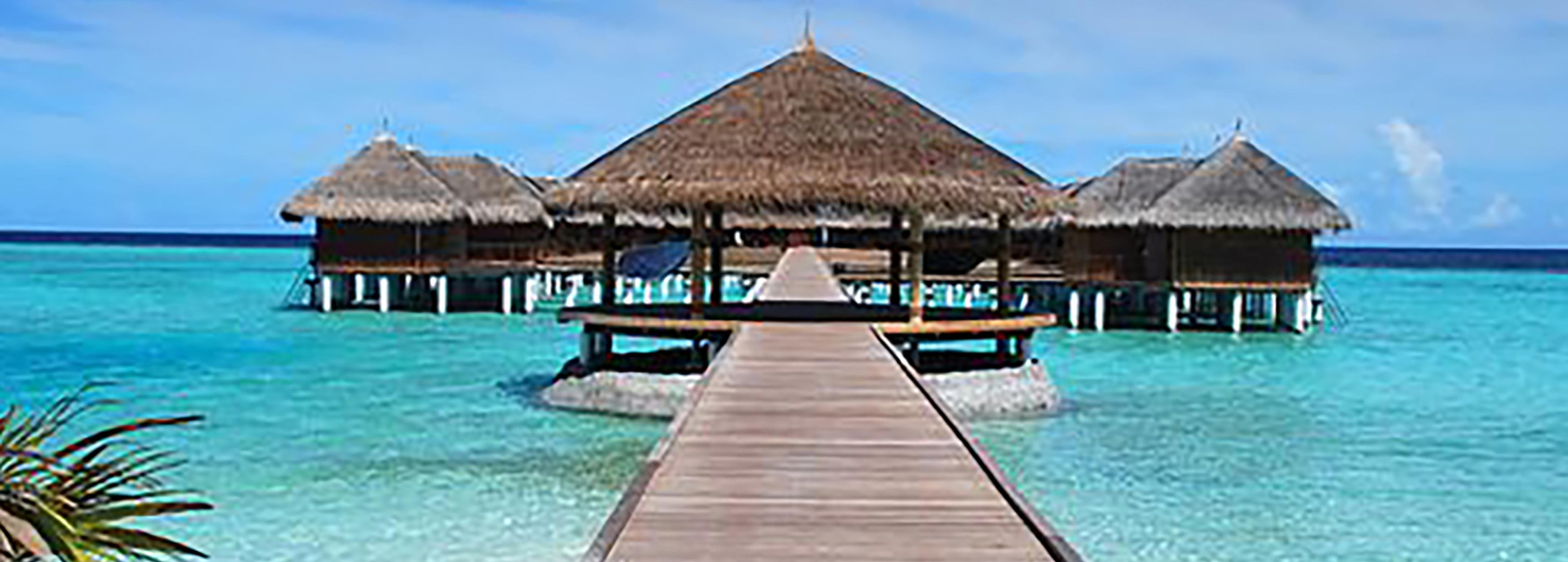 Shop cover image
