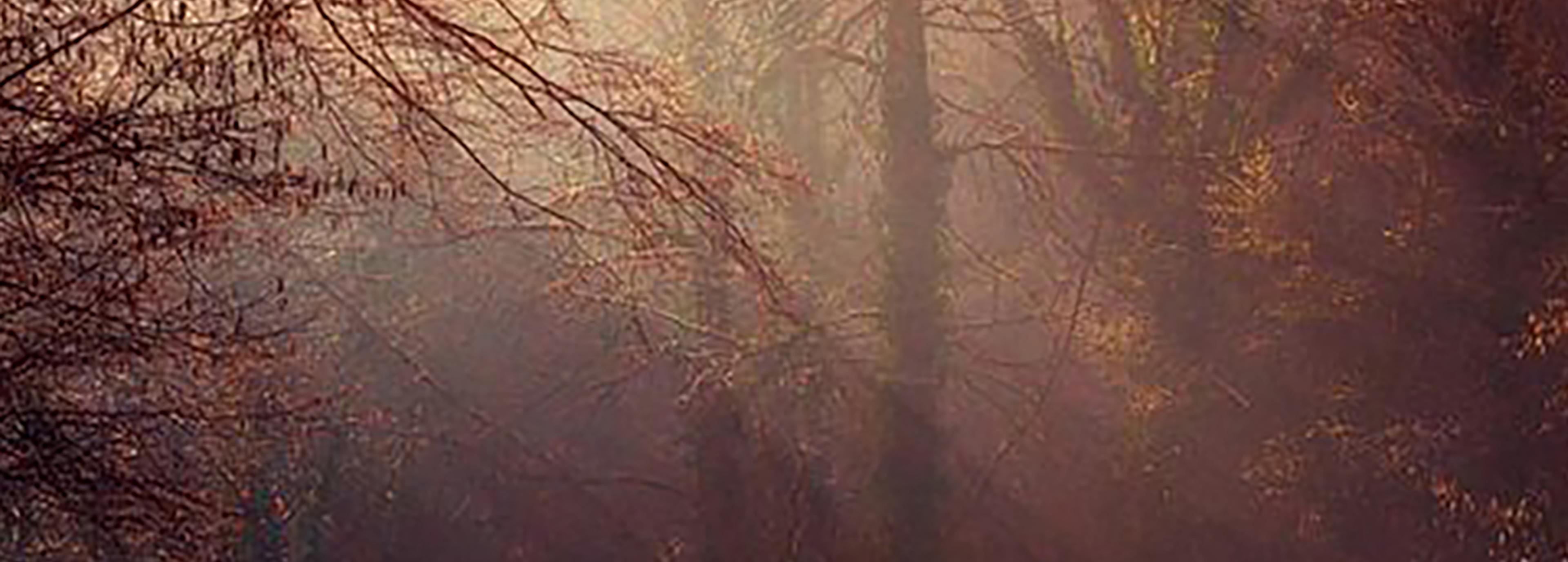 Shop cover image