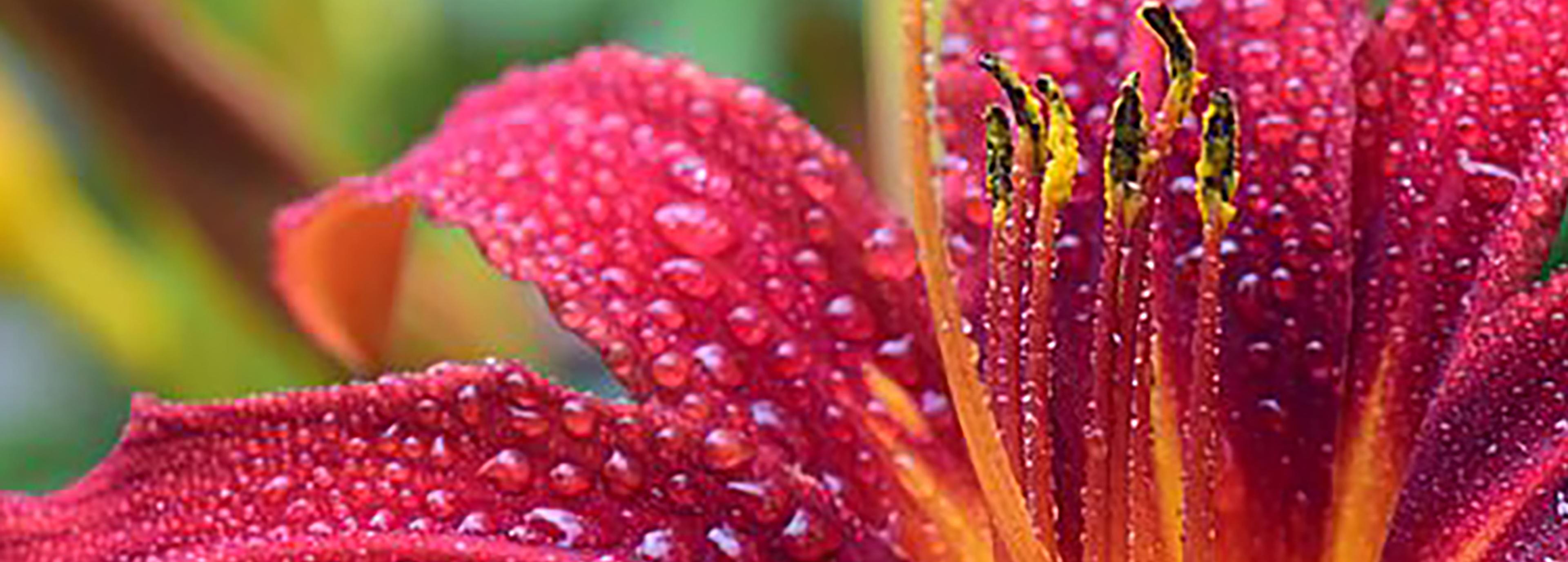Shop cover image