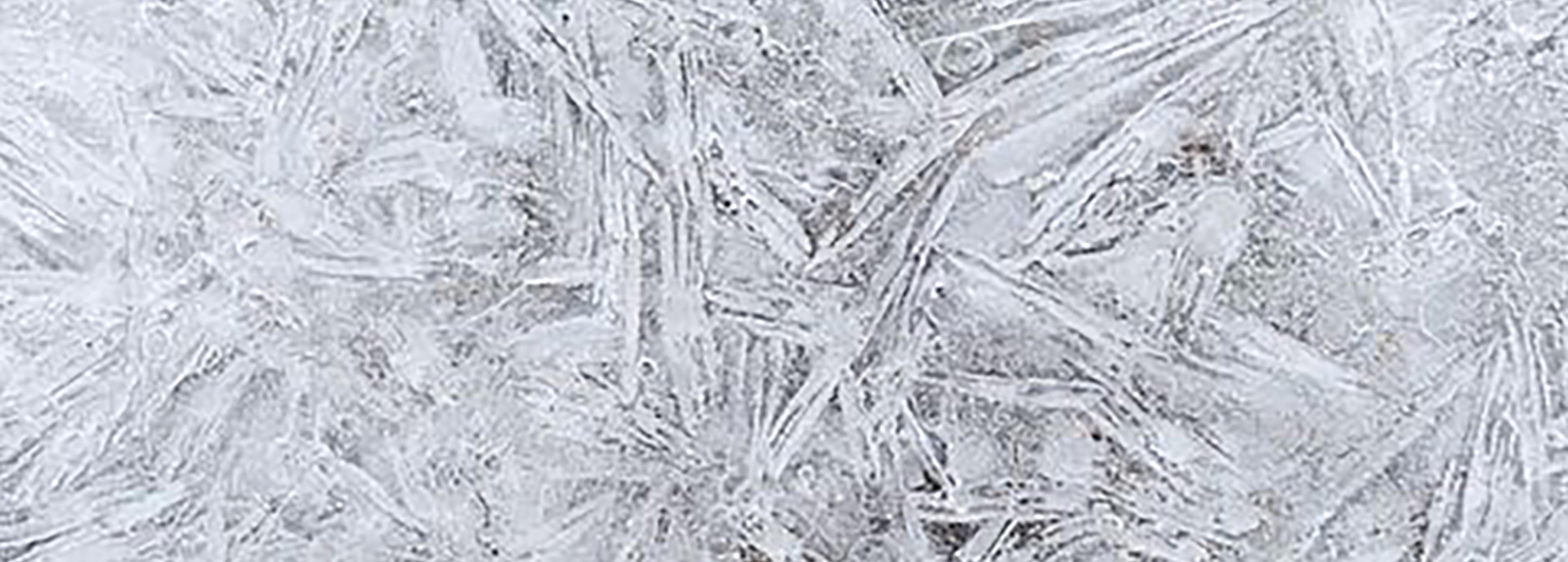 Shop cover image