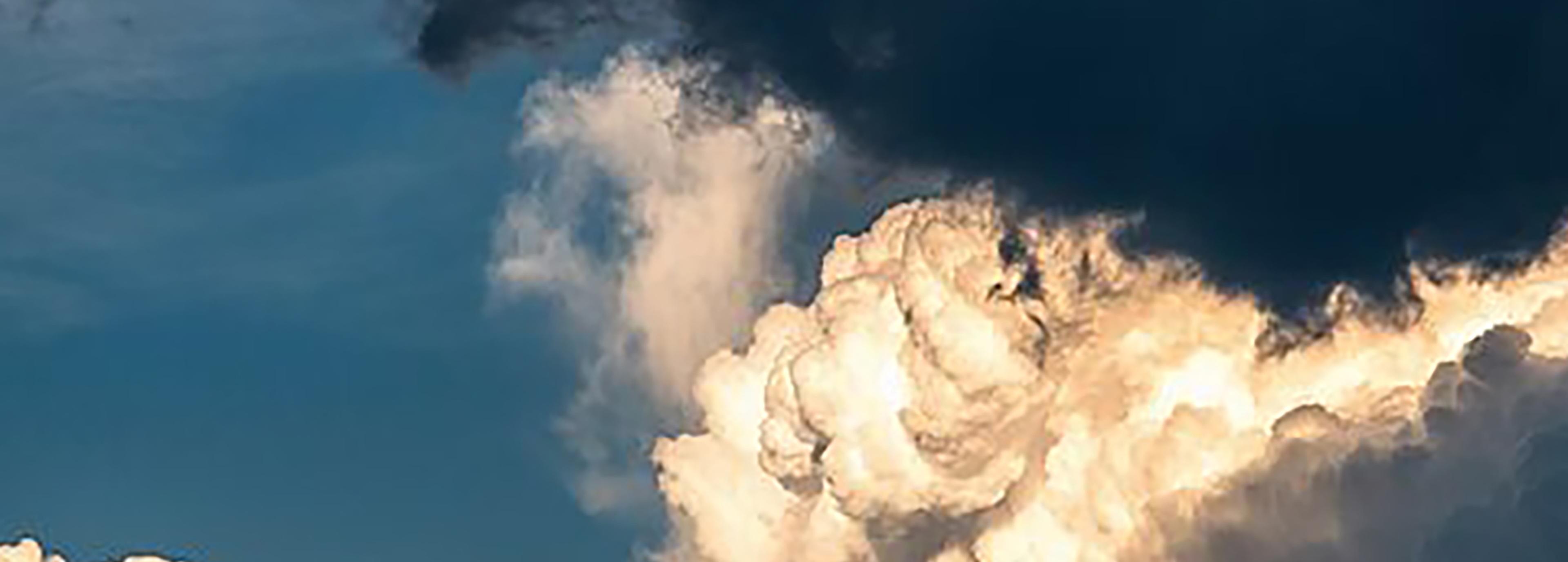 Shop cover image