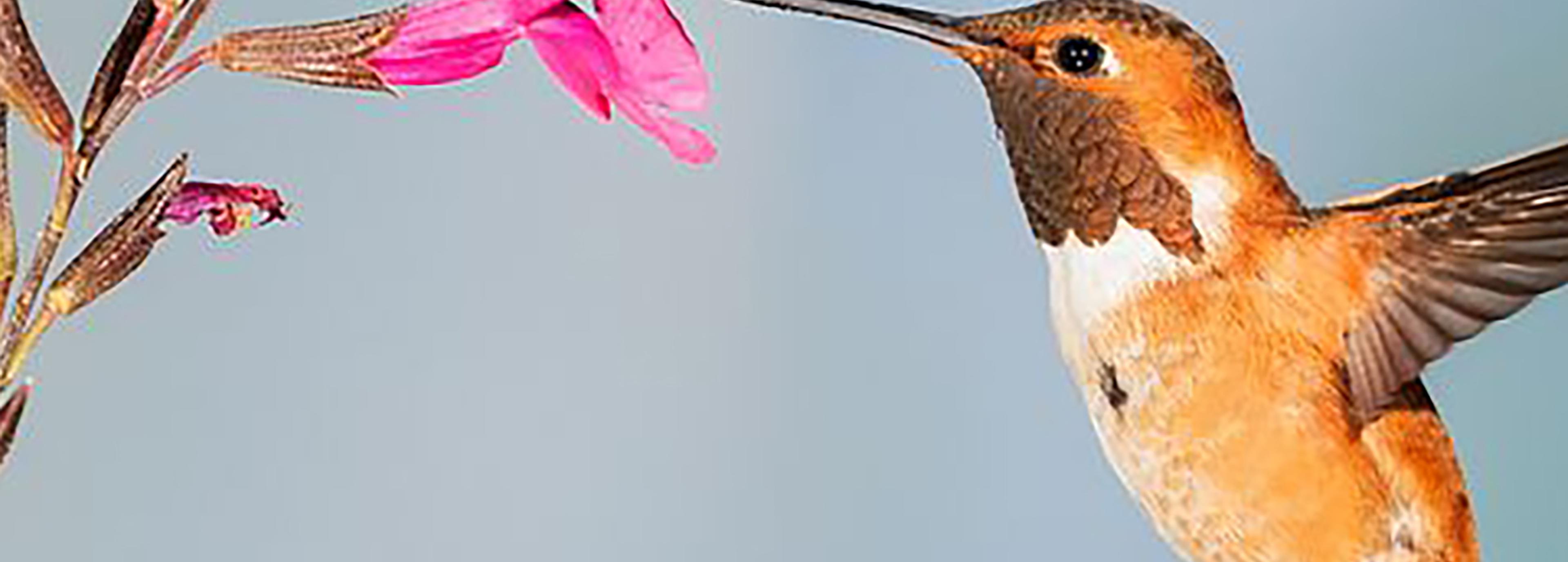 Shop cover image