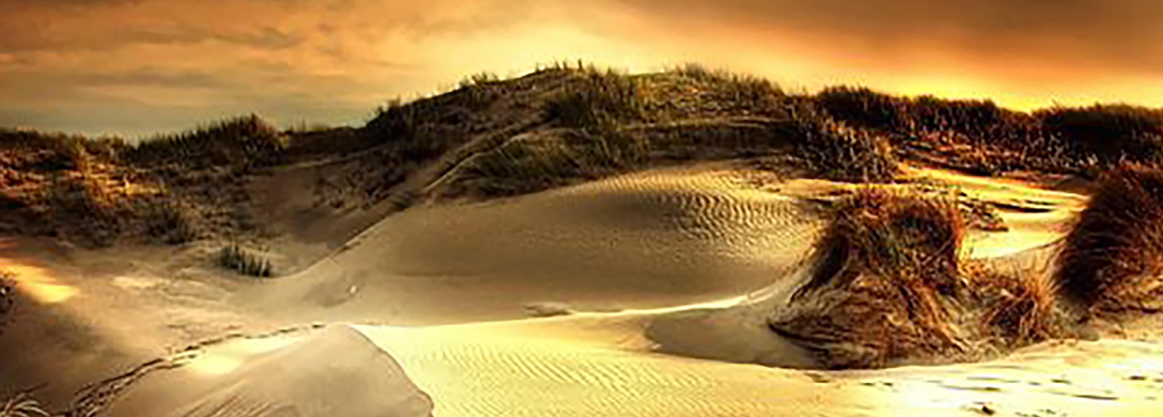 Shop cover image