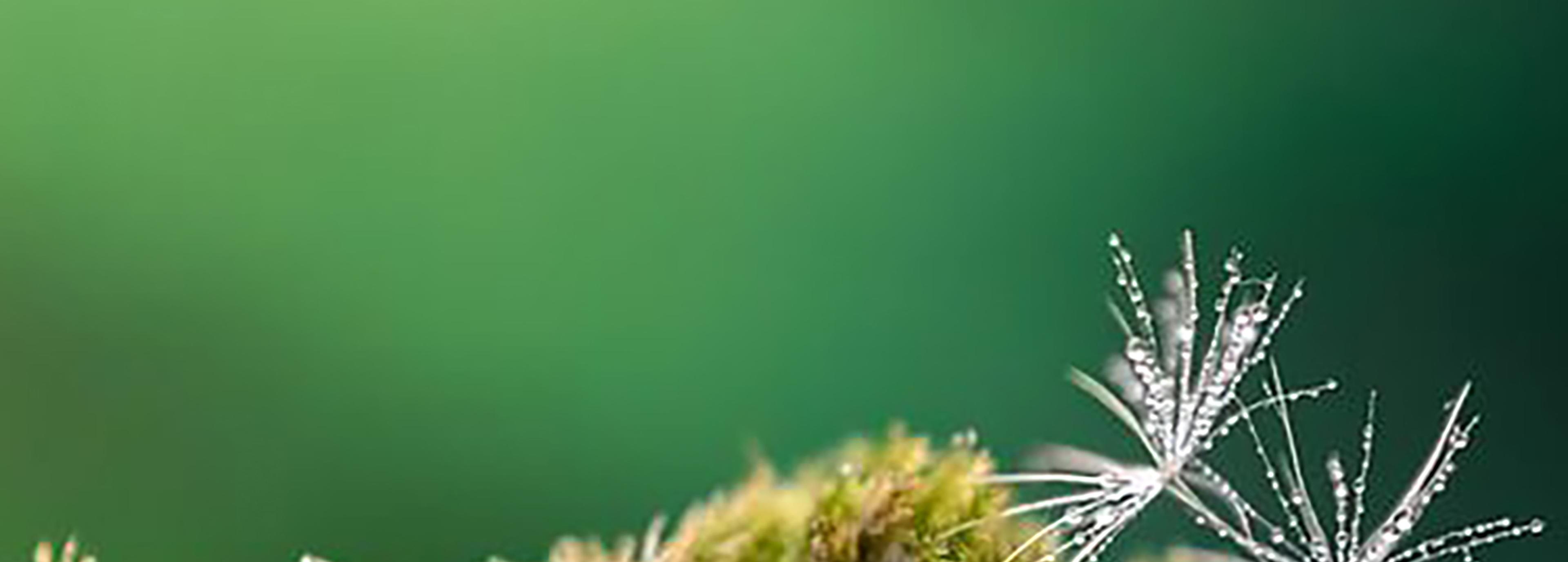 Shop cover image