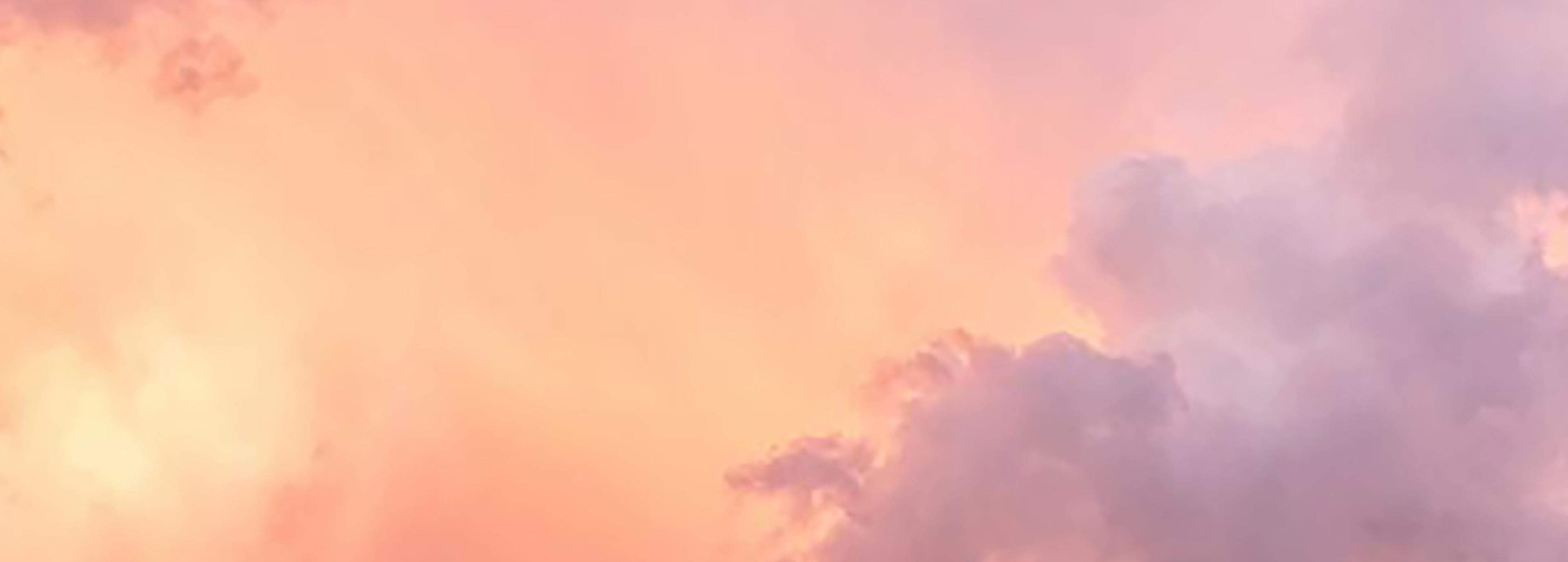 Shop cover image