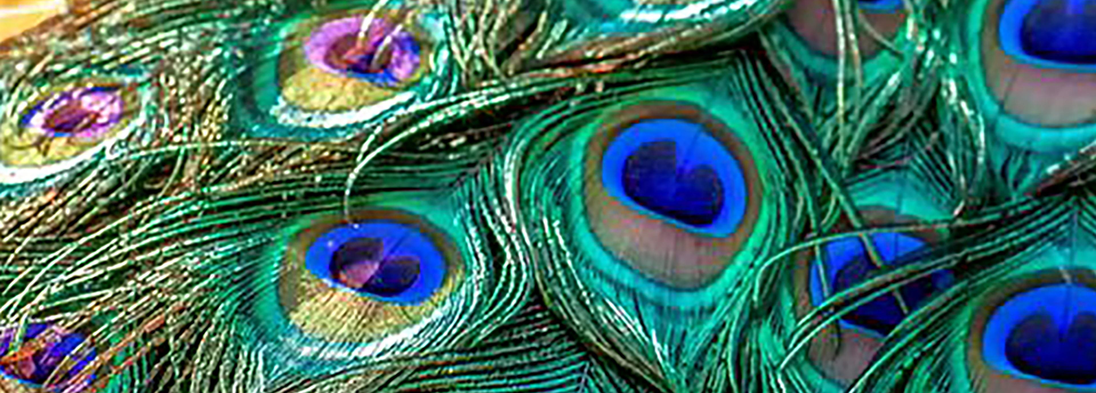 Shop cover image