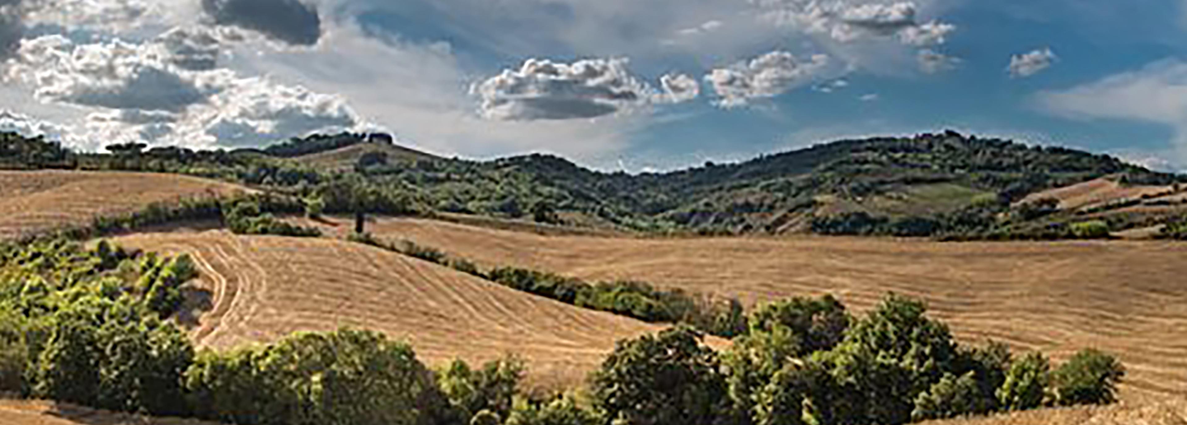 Shop cover image