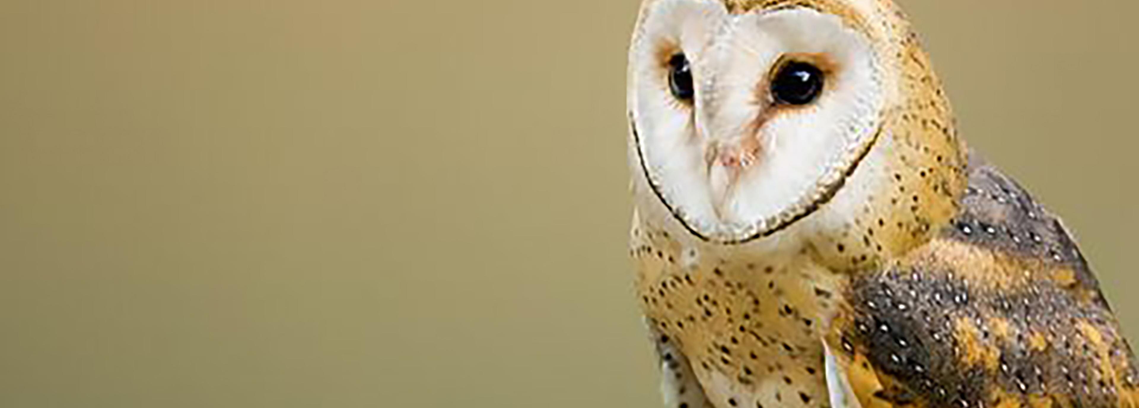 Shop cover image