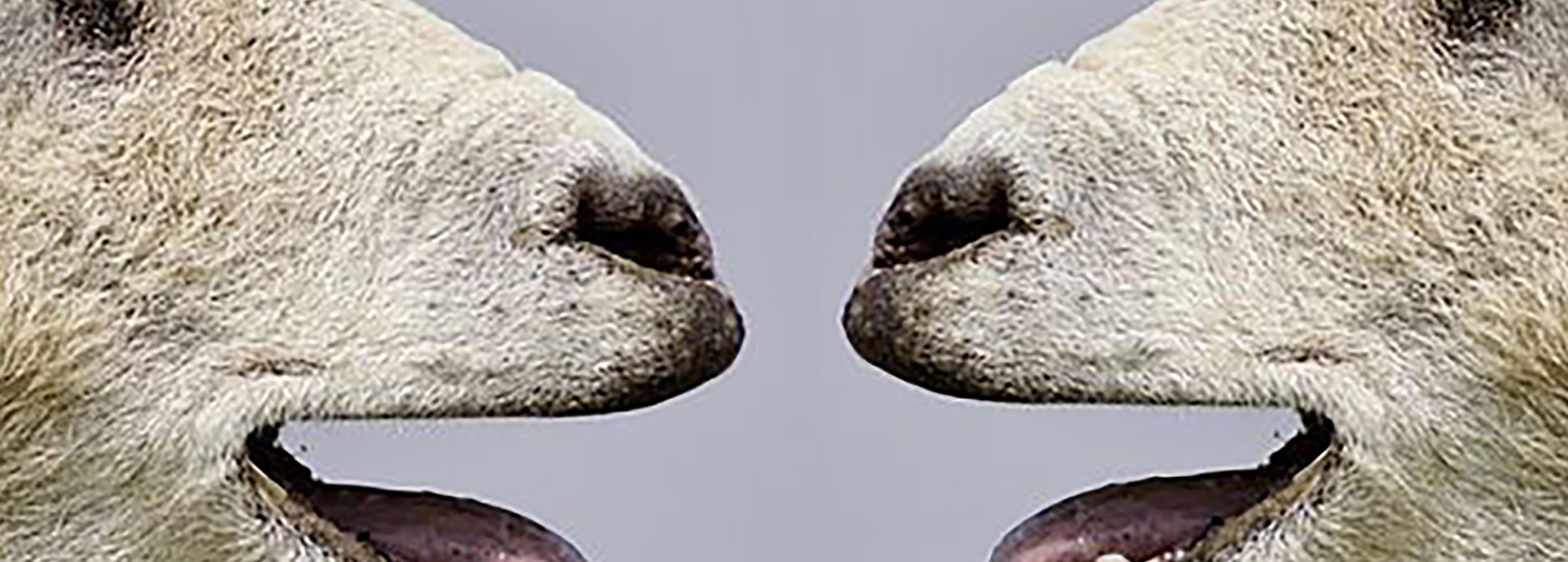 Shop cover image