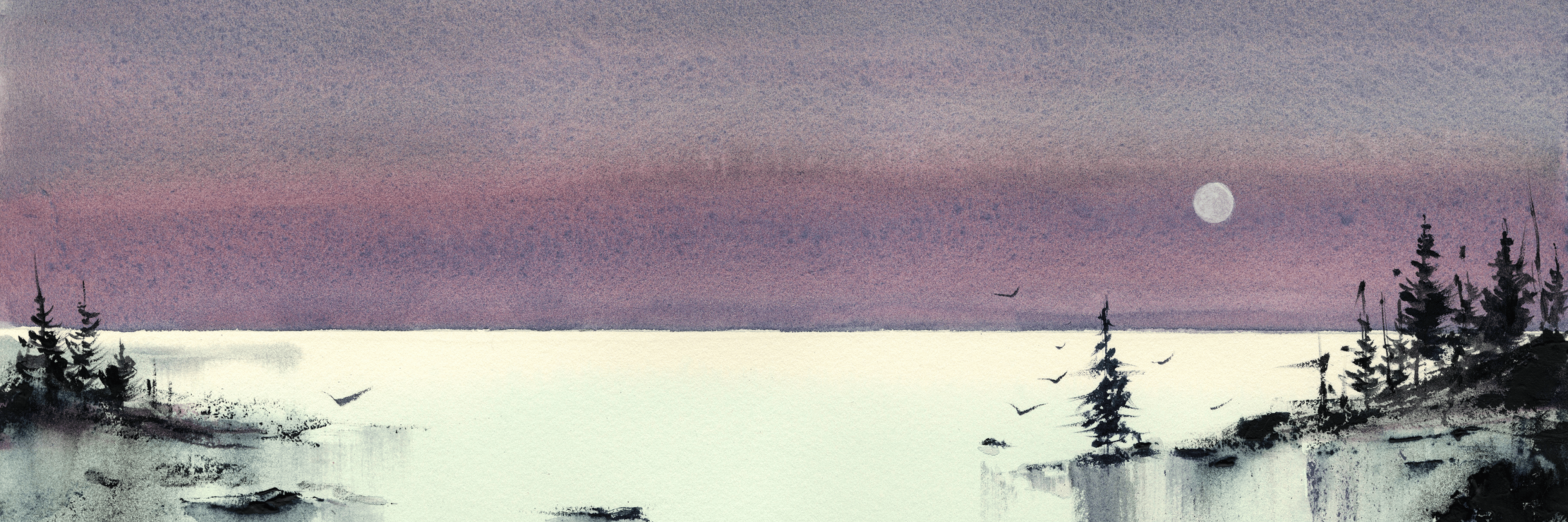 Shop cover image