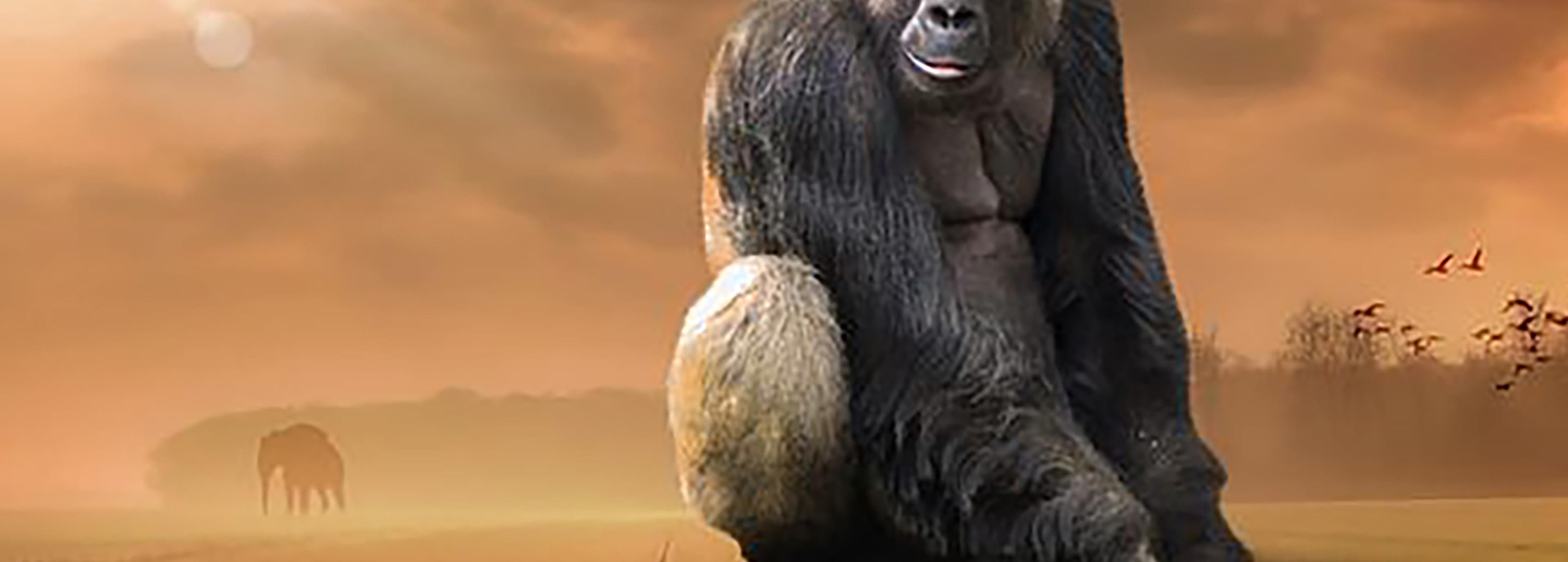 Shop cover image