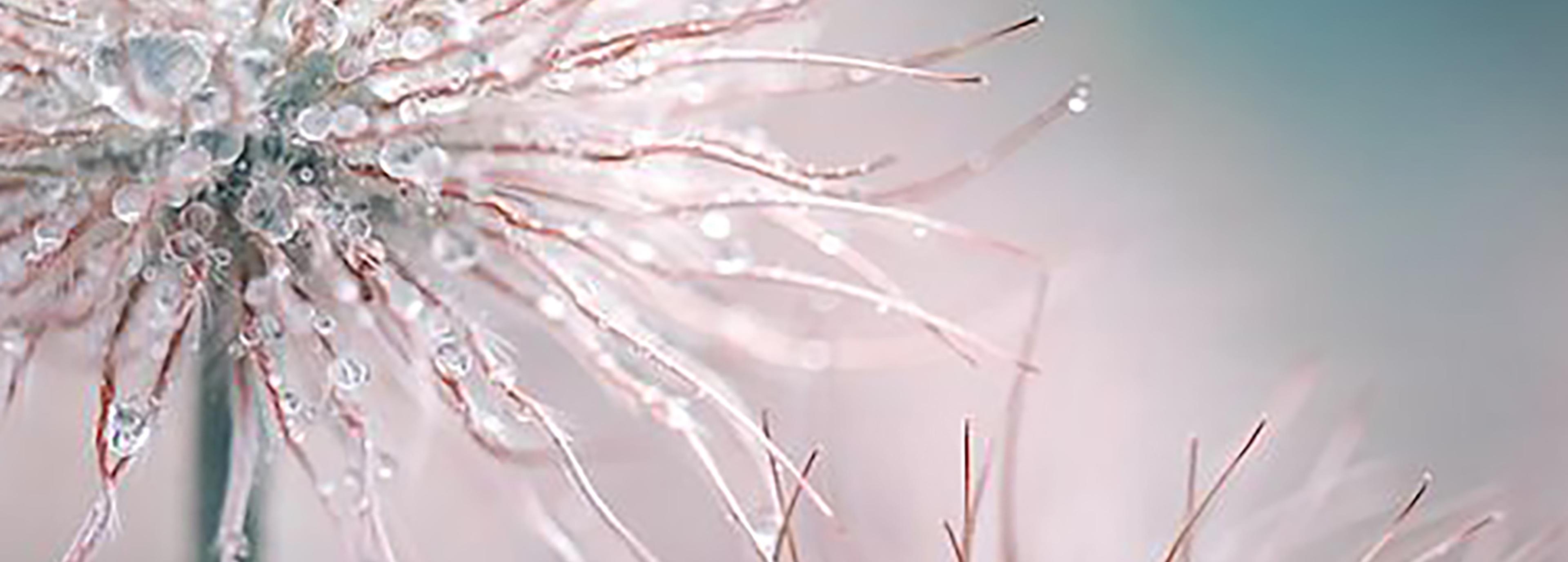 Shop cover image