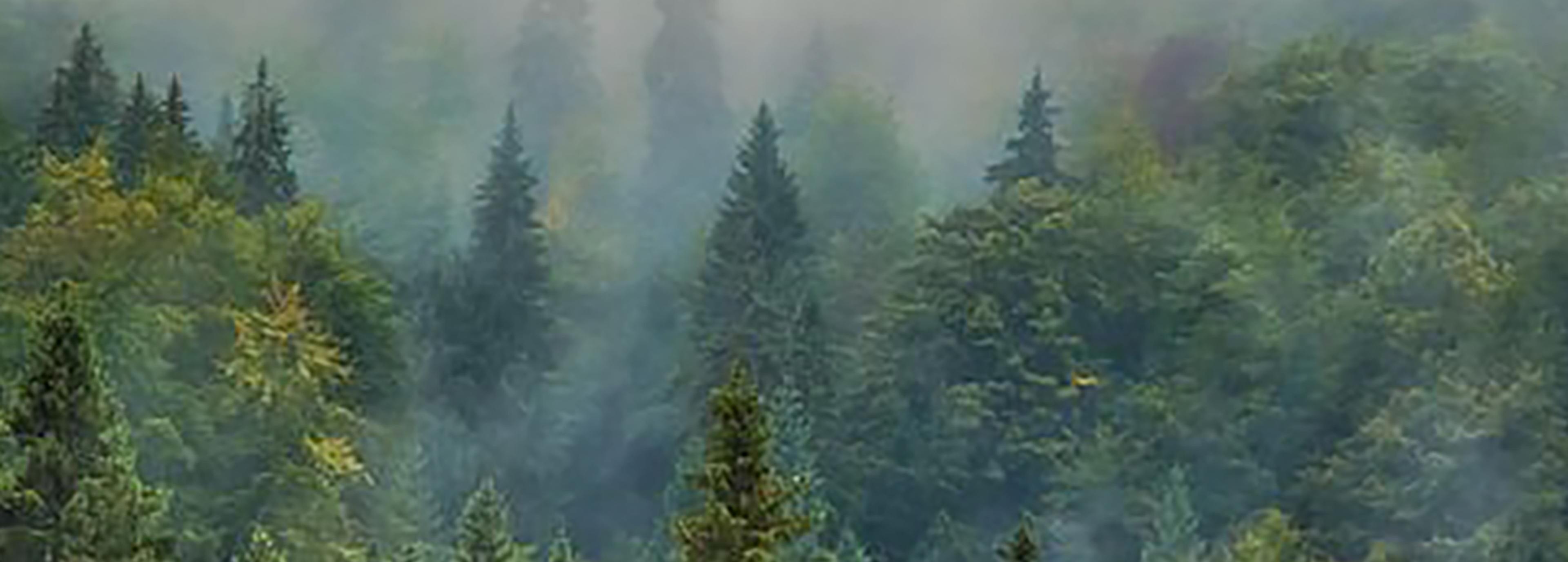 Shop cover image