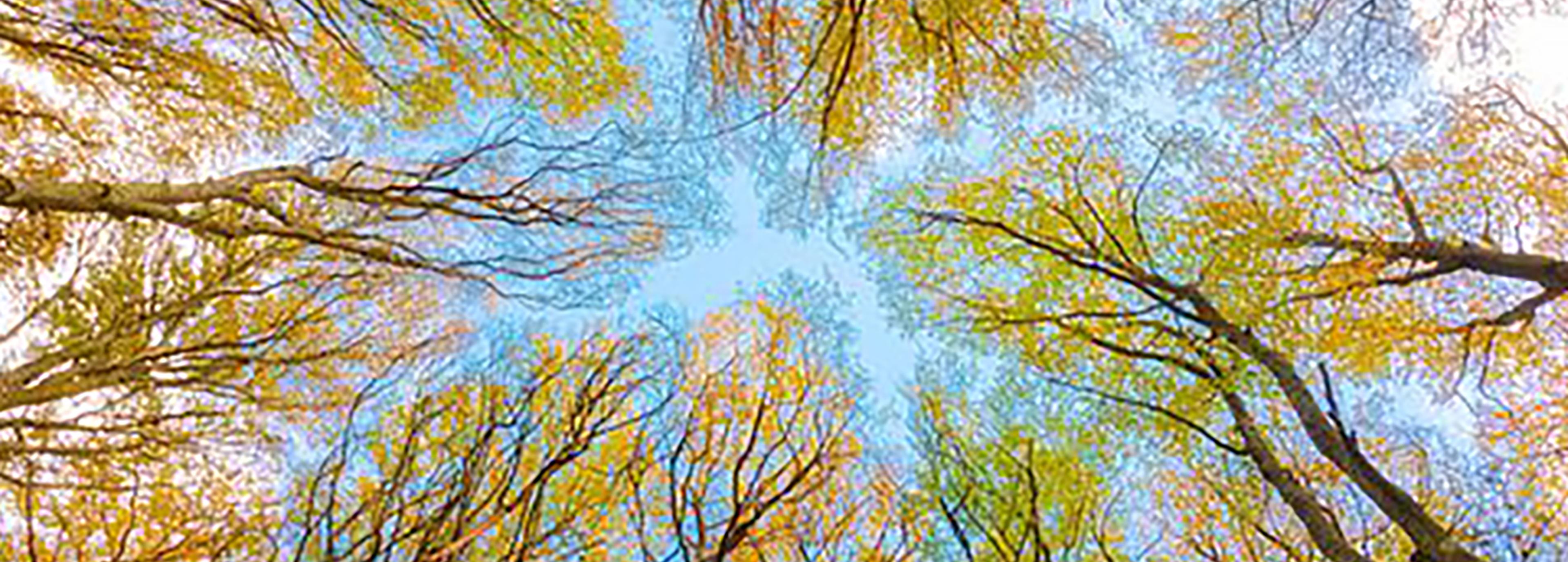 Shop cover image