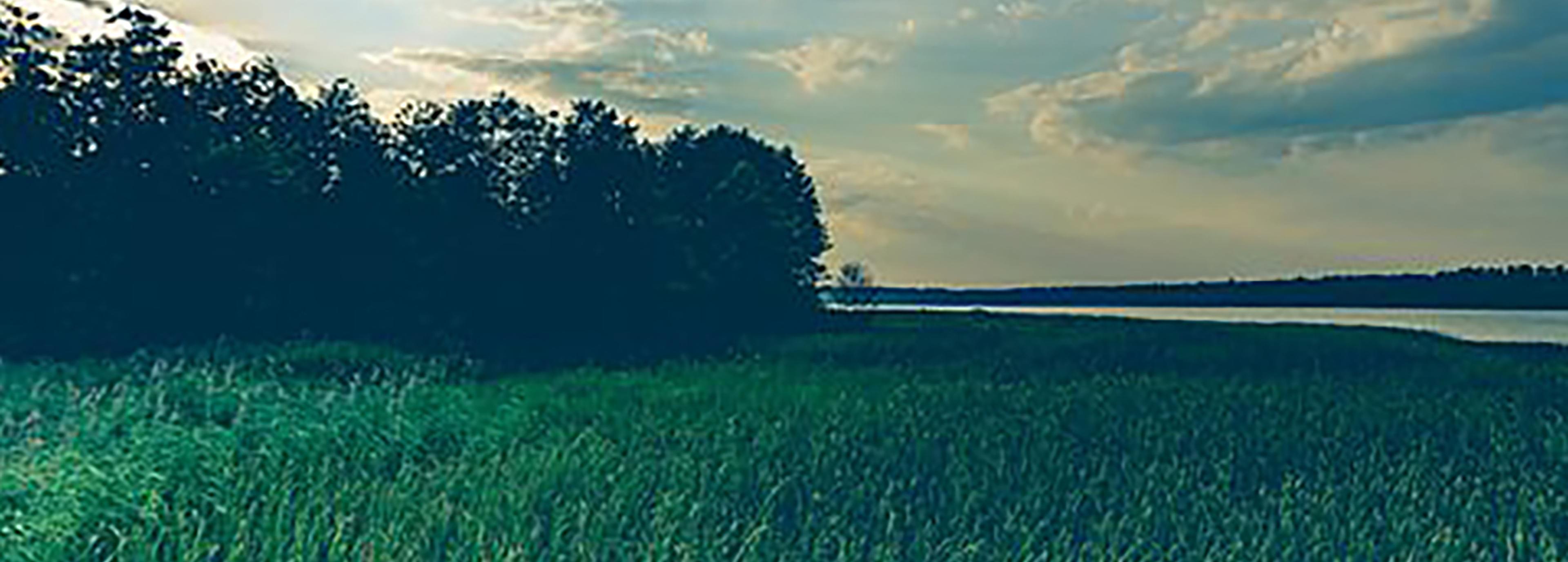 Shop cover image