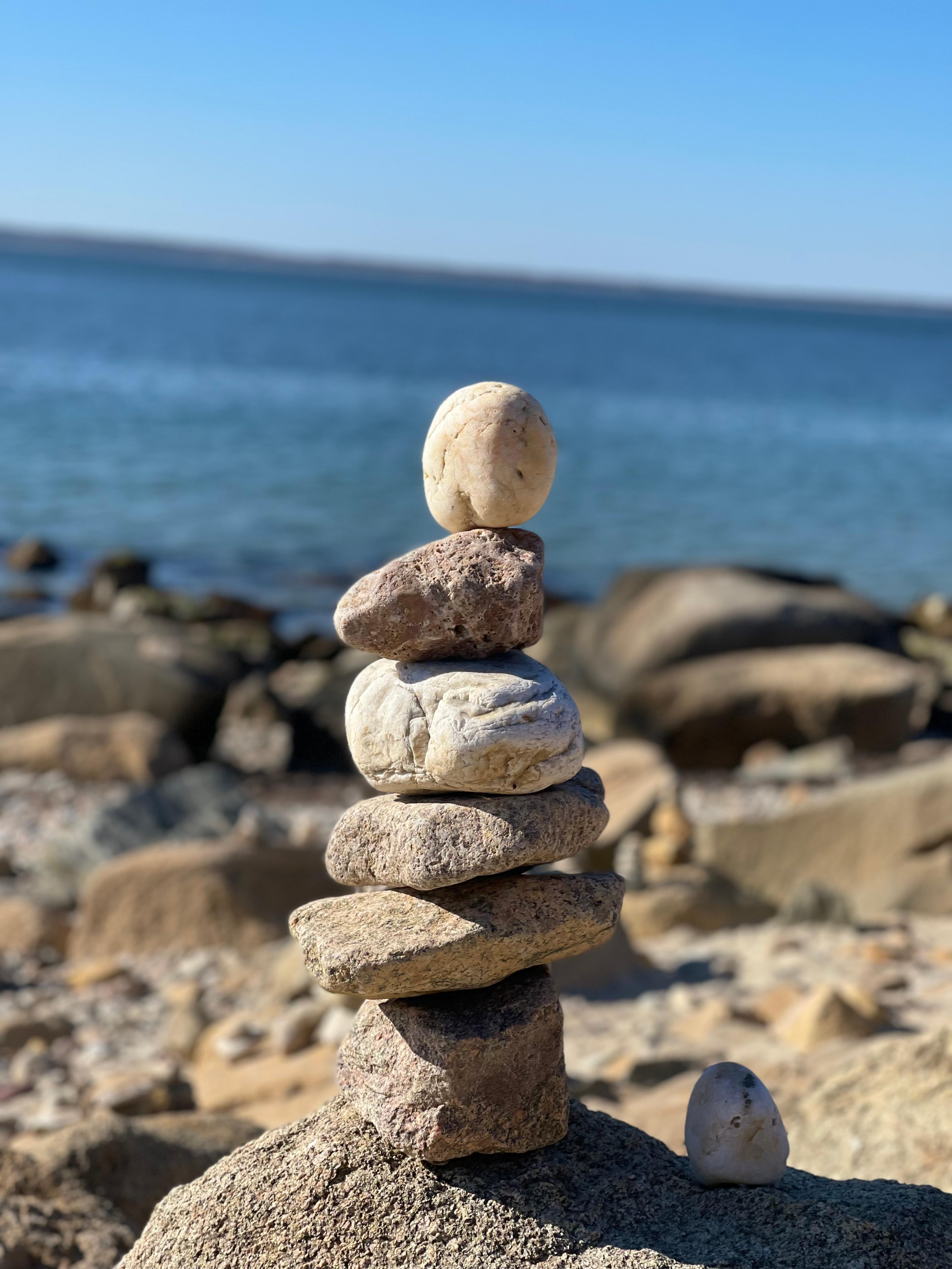 Shop cover image