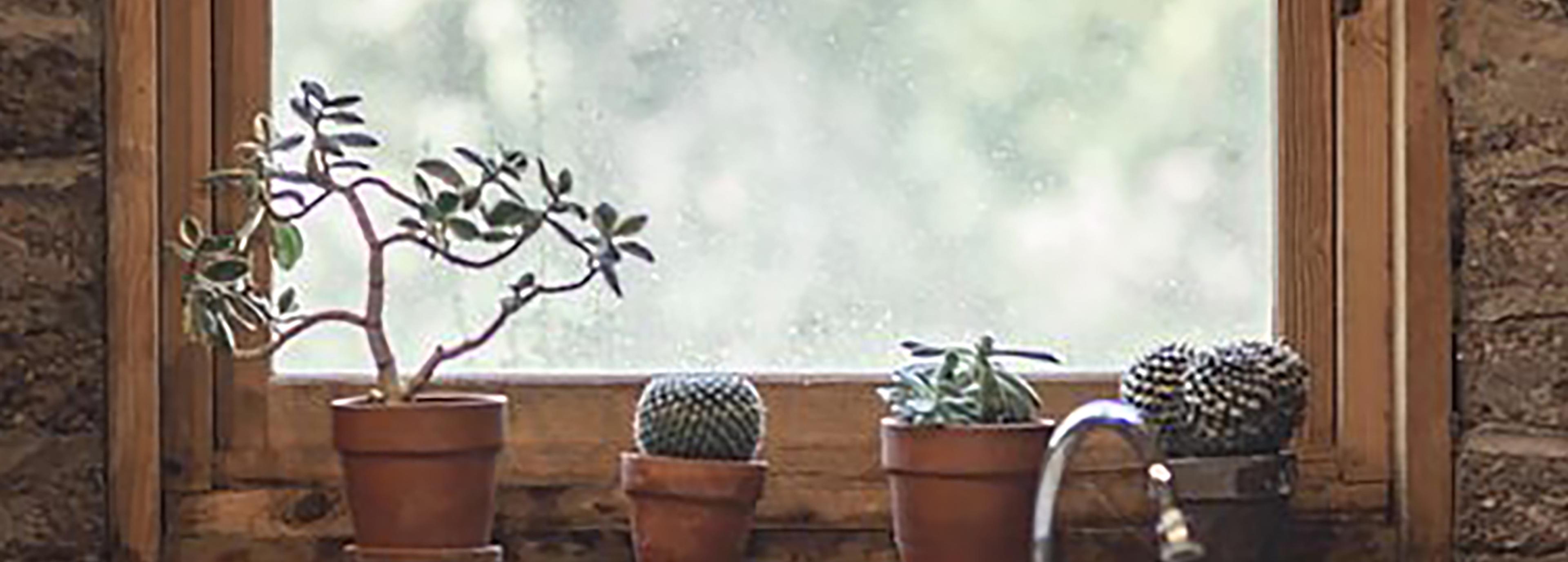Shop cover image