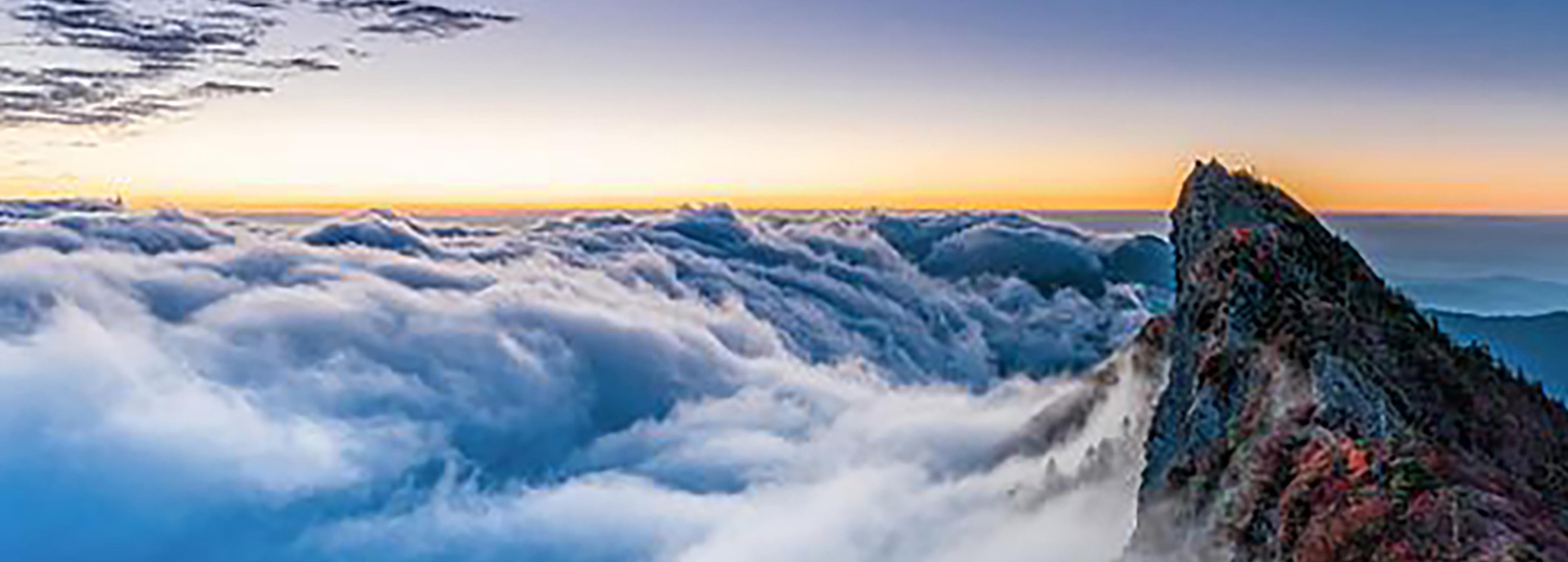 Shop cover image