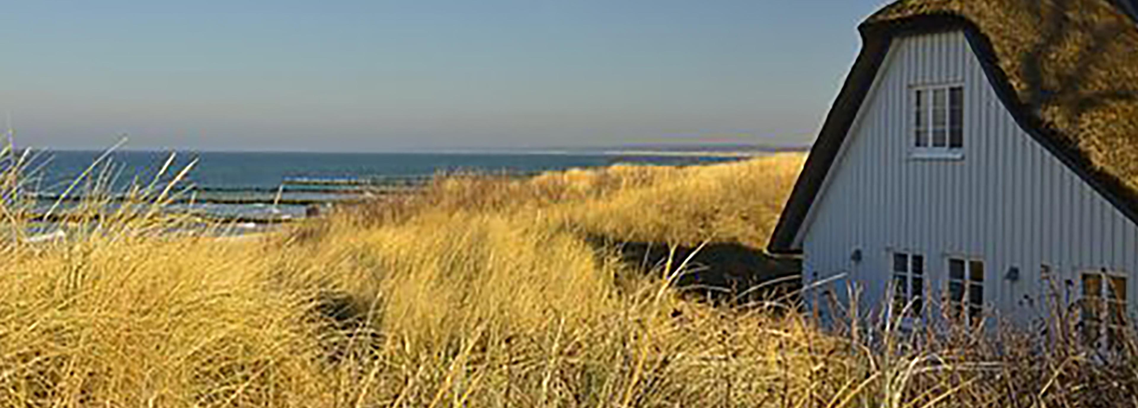 Shop cover image