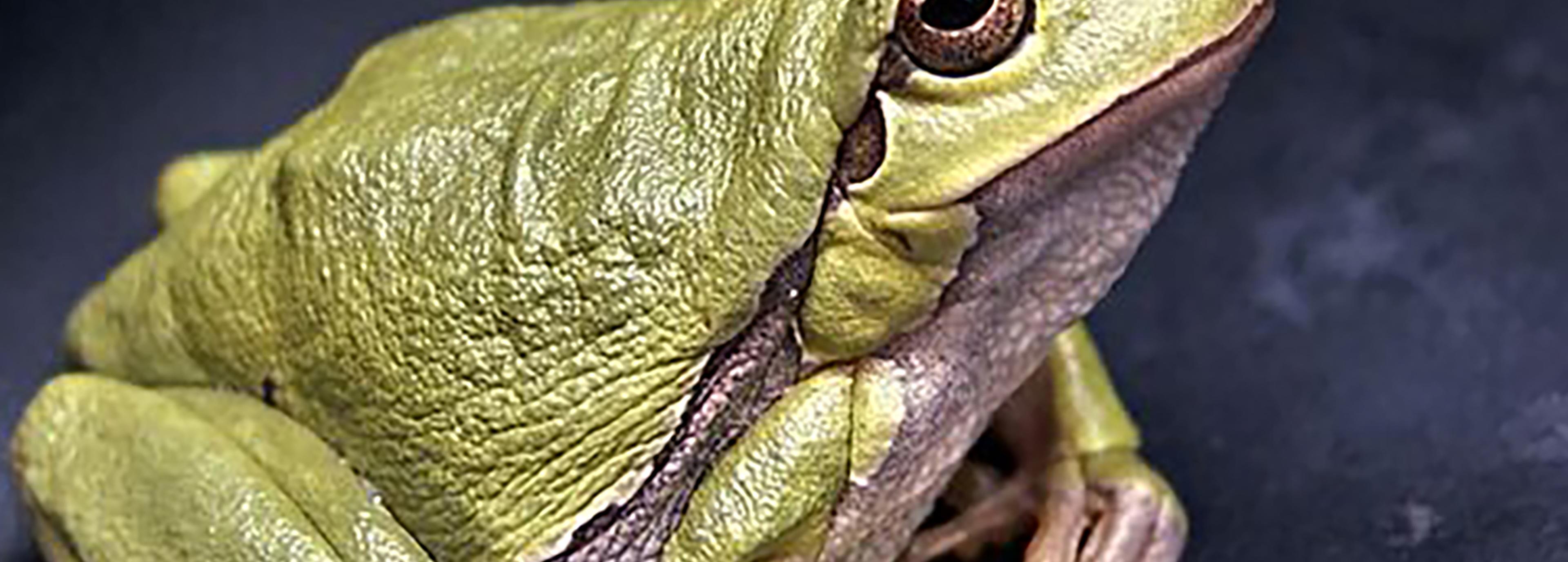 Shop cover image