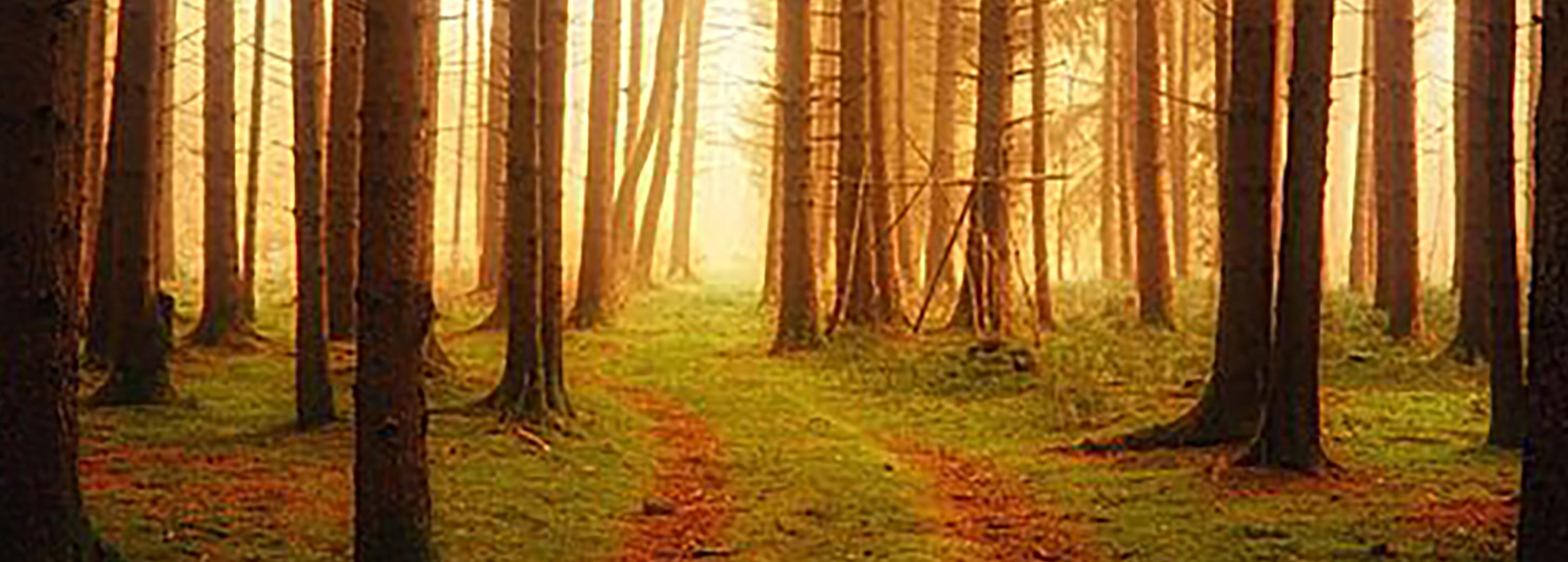 Shop cover image