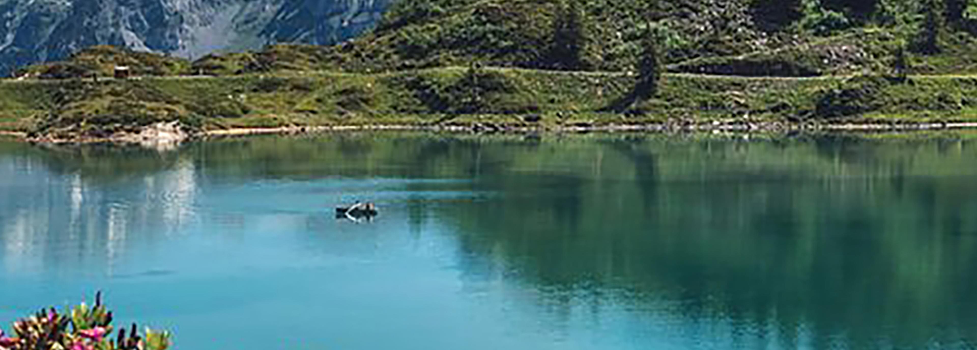 Shop cover image