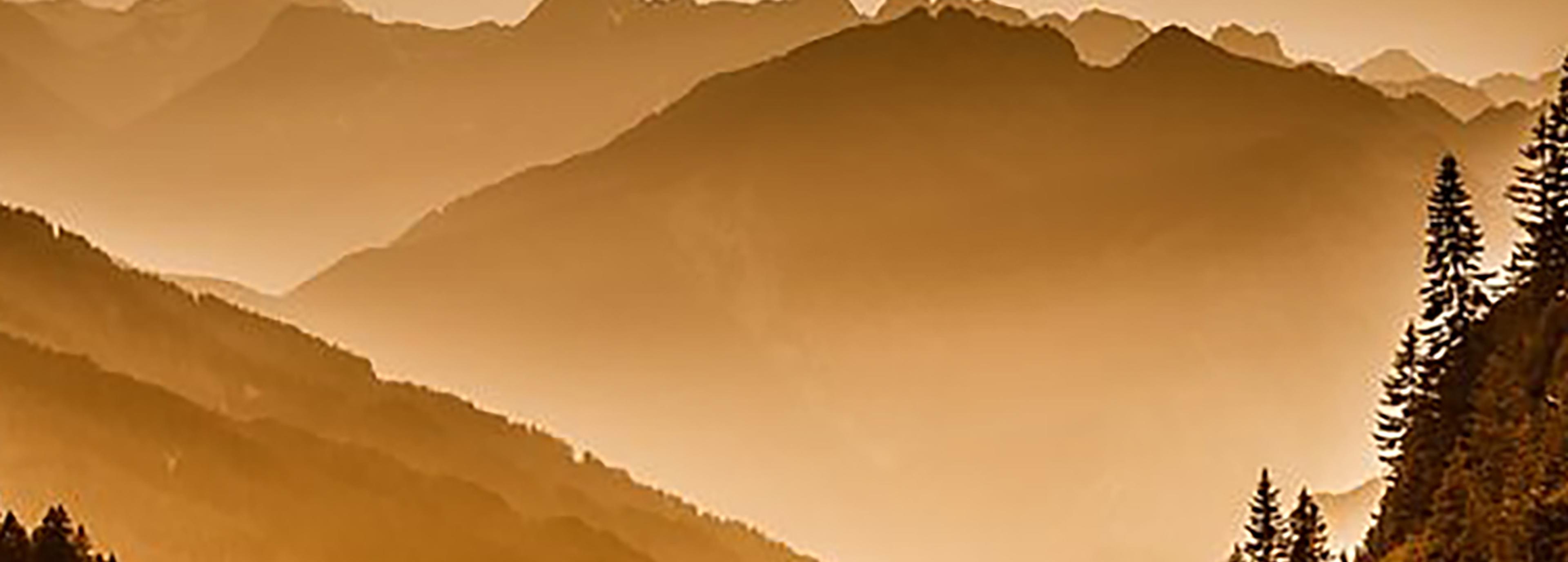 Shop cover image