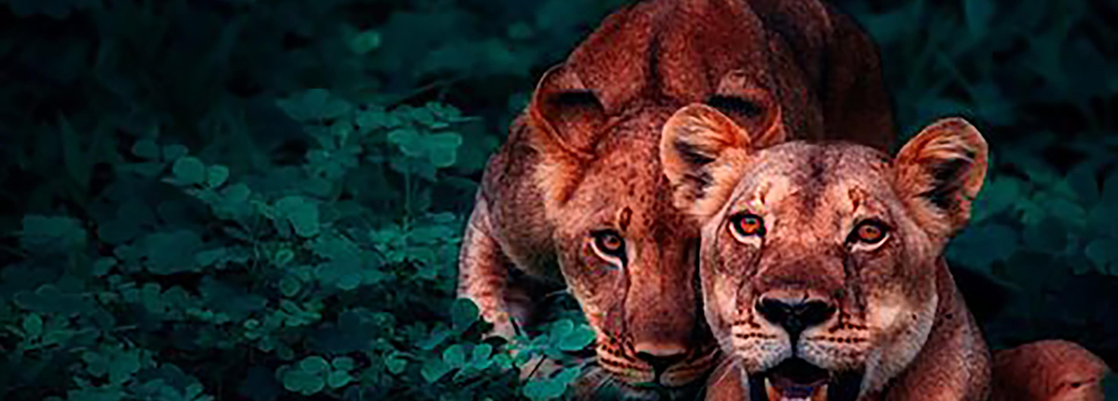 Shop cover image