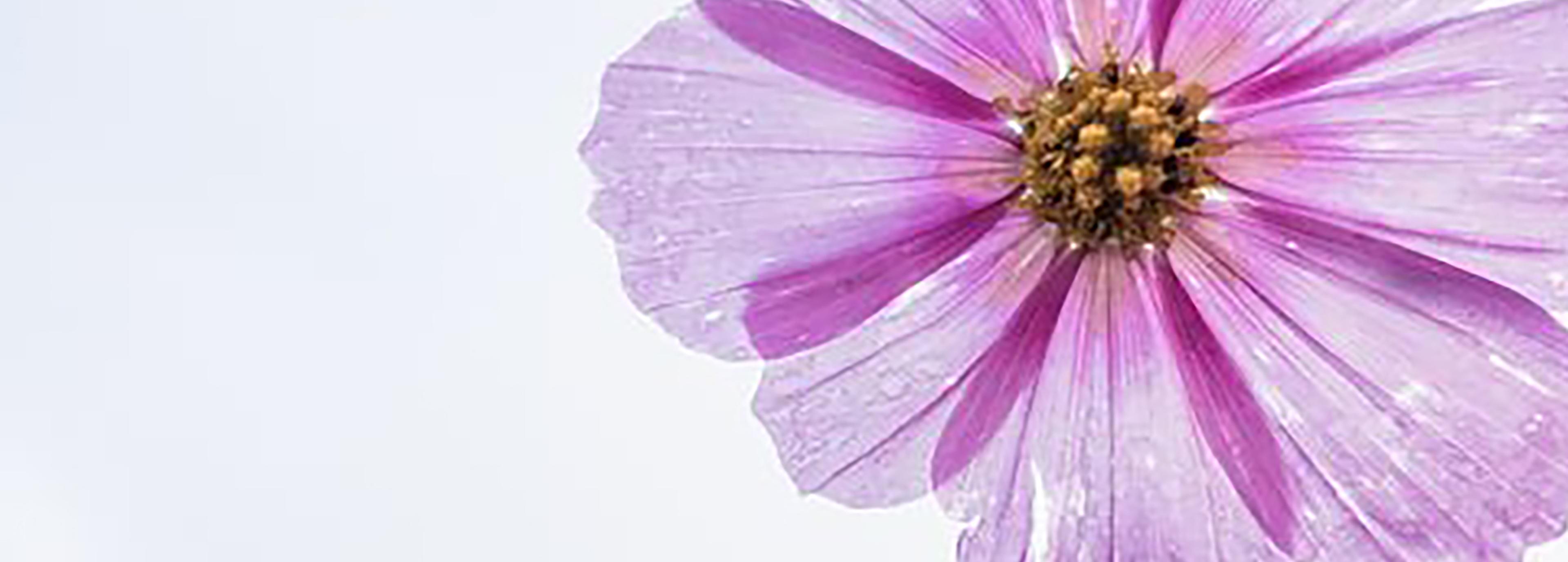 Shop cover image
