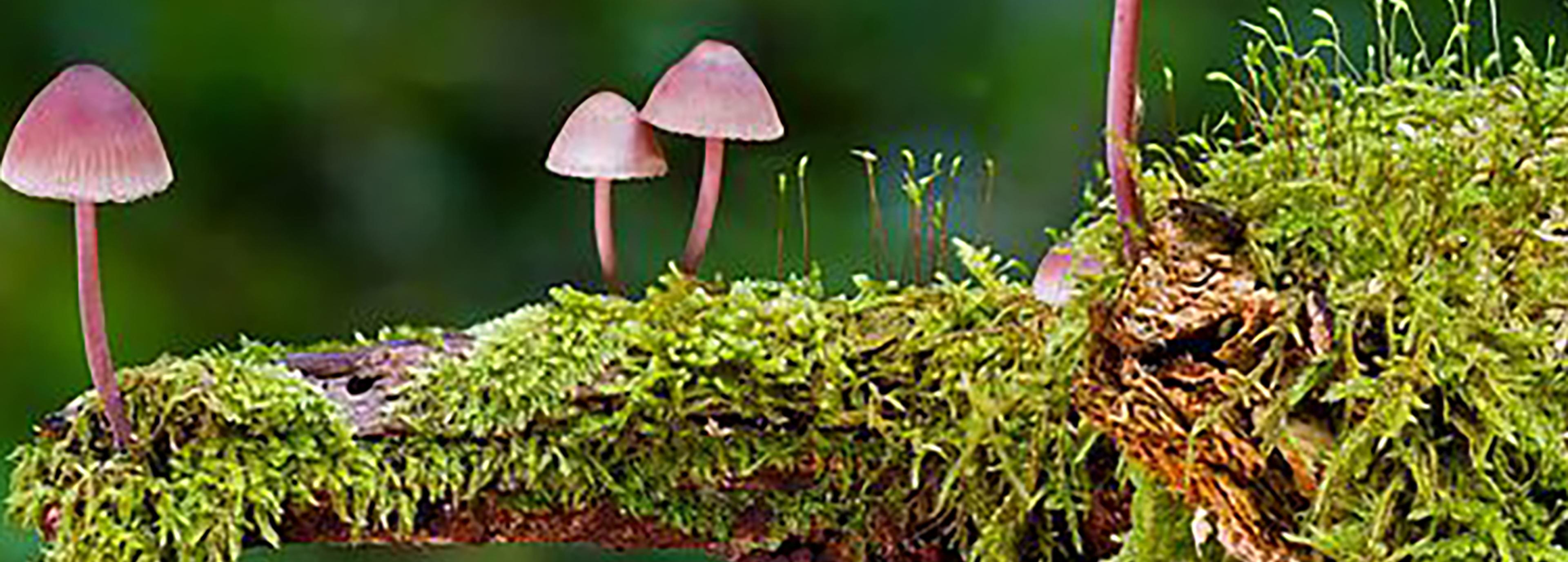 Shop cover image