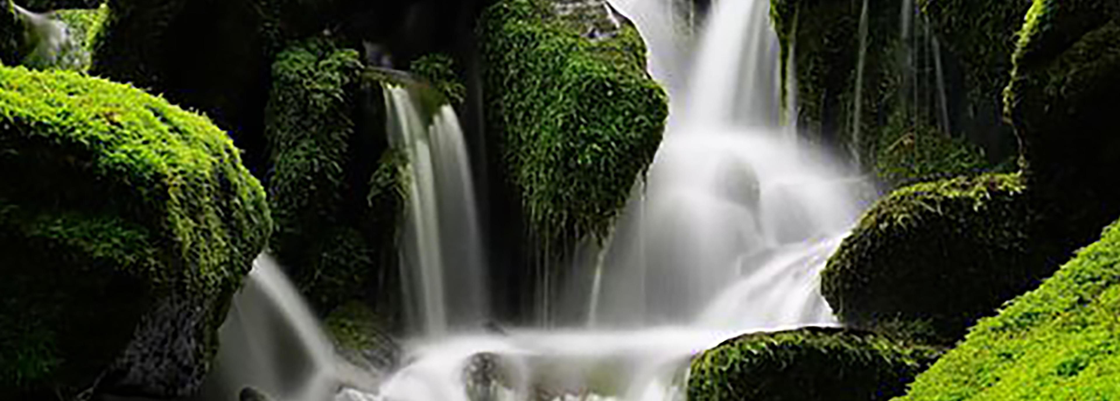 Shop cover image