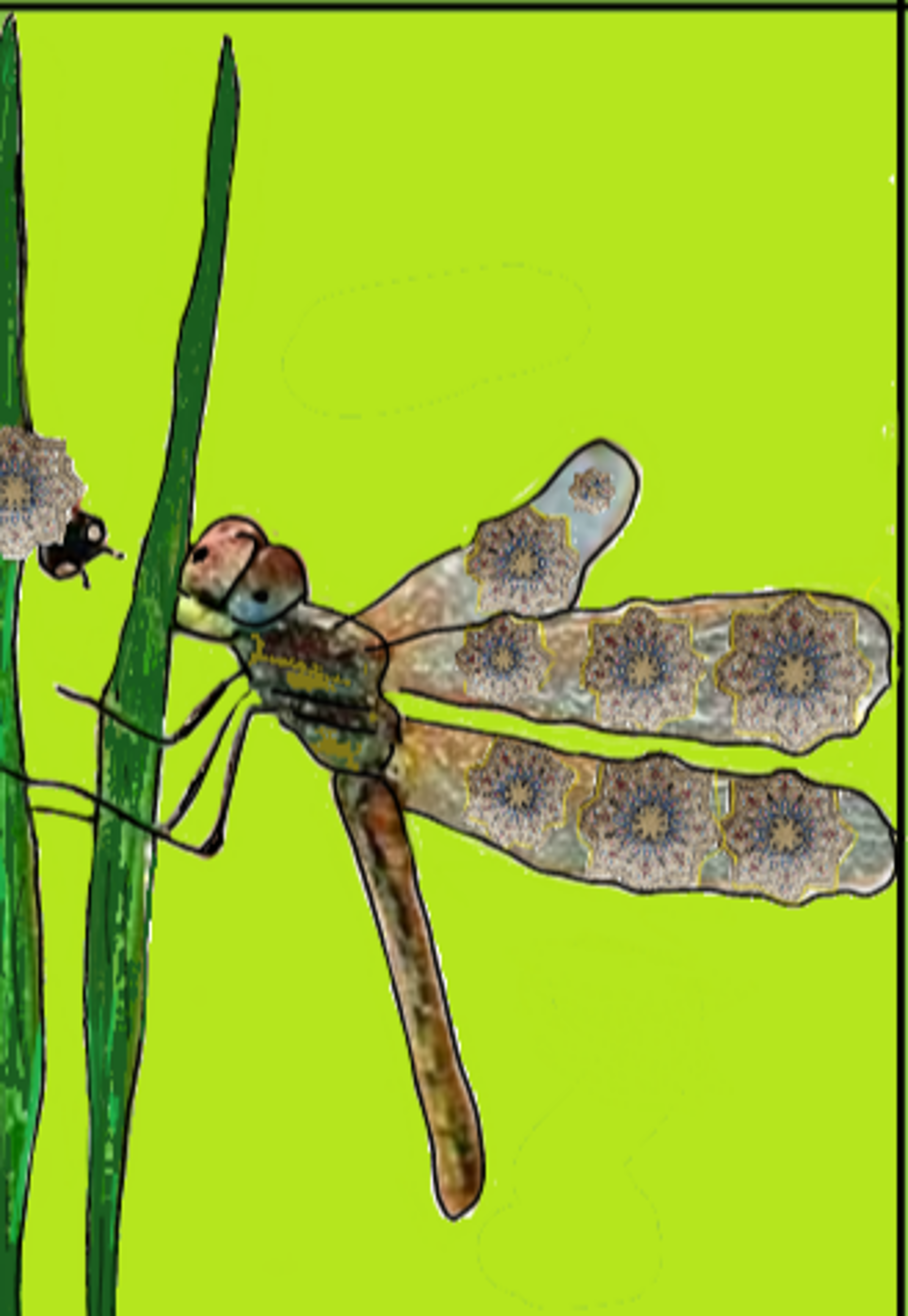 Shop cover image