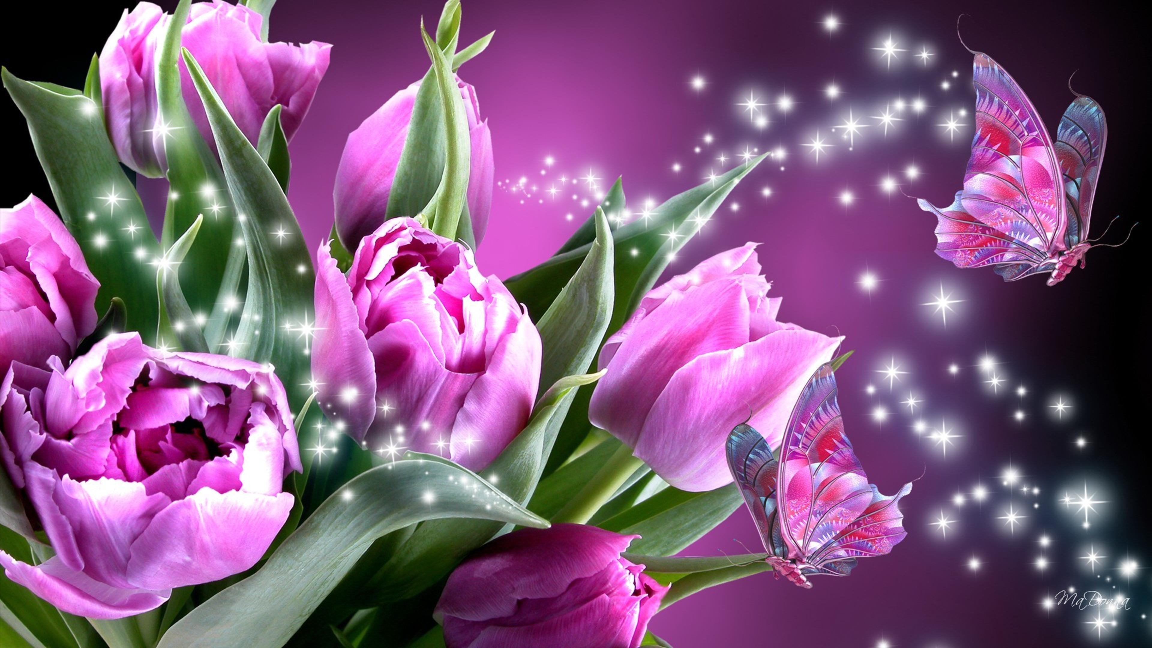 Shop cover image