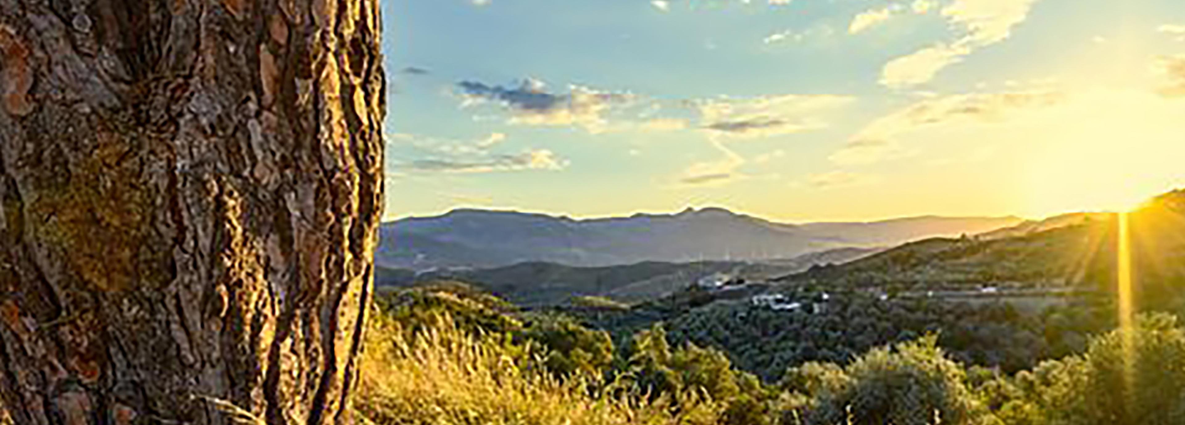 Shop cover image