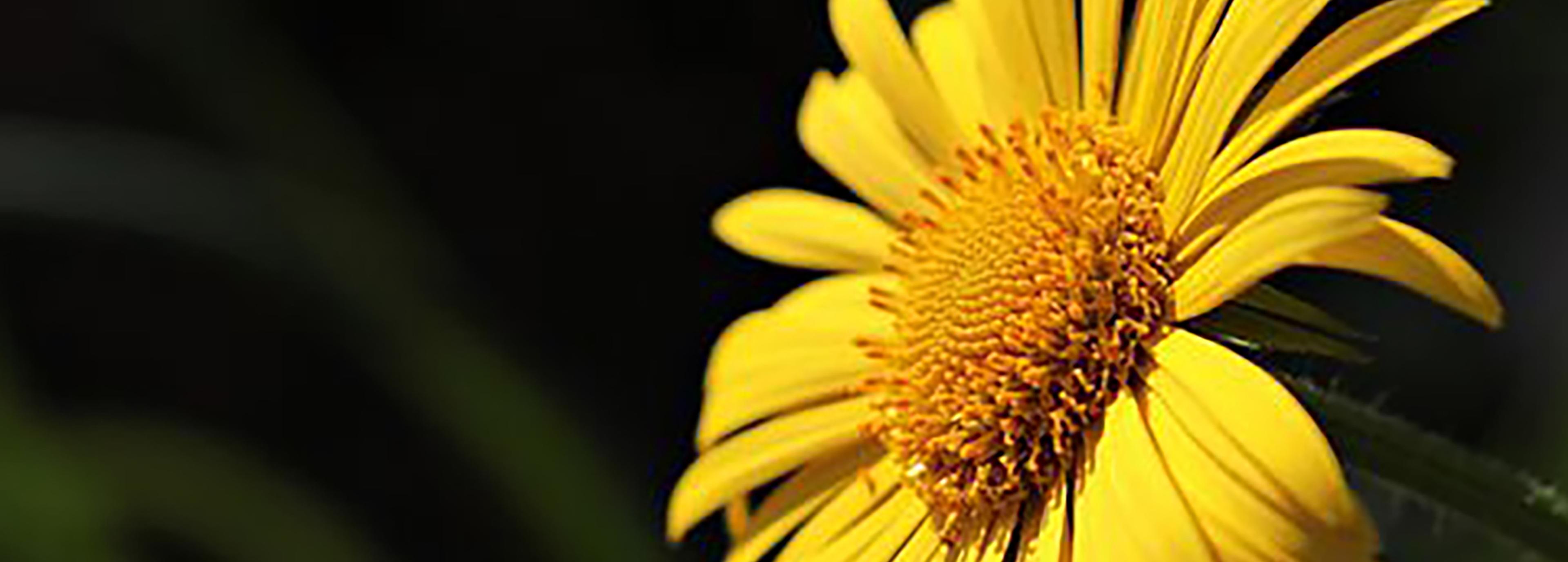 Shop cover image